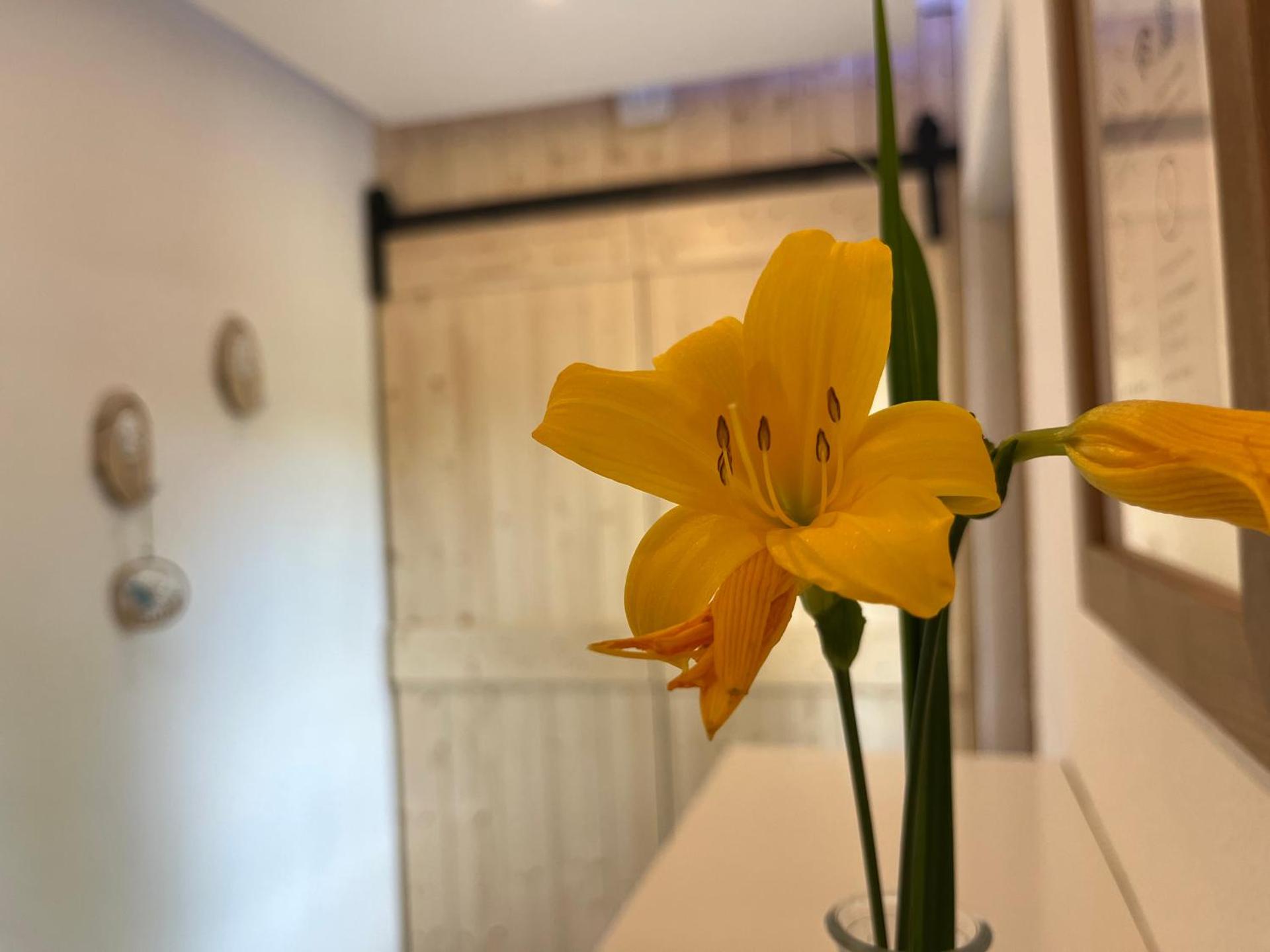 Ferienwohnung Lilly, 60qm, 4 Personen