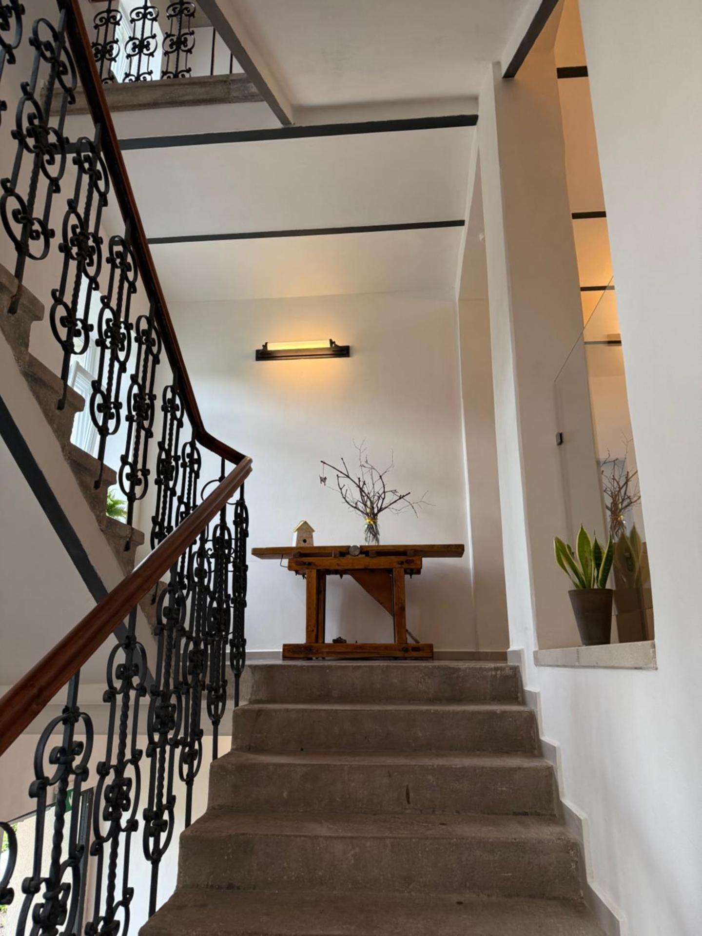 Soví Hnízdo Apartment De Luxe