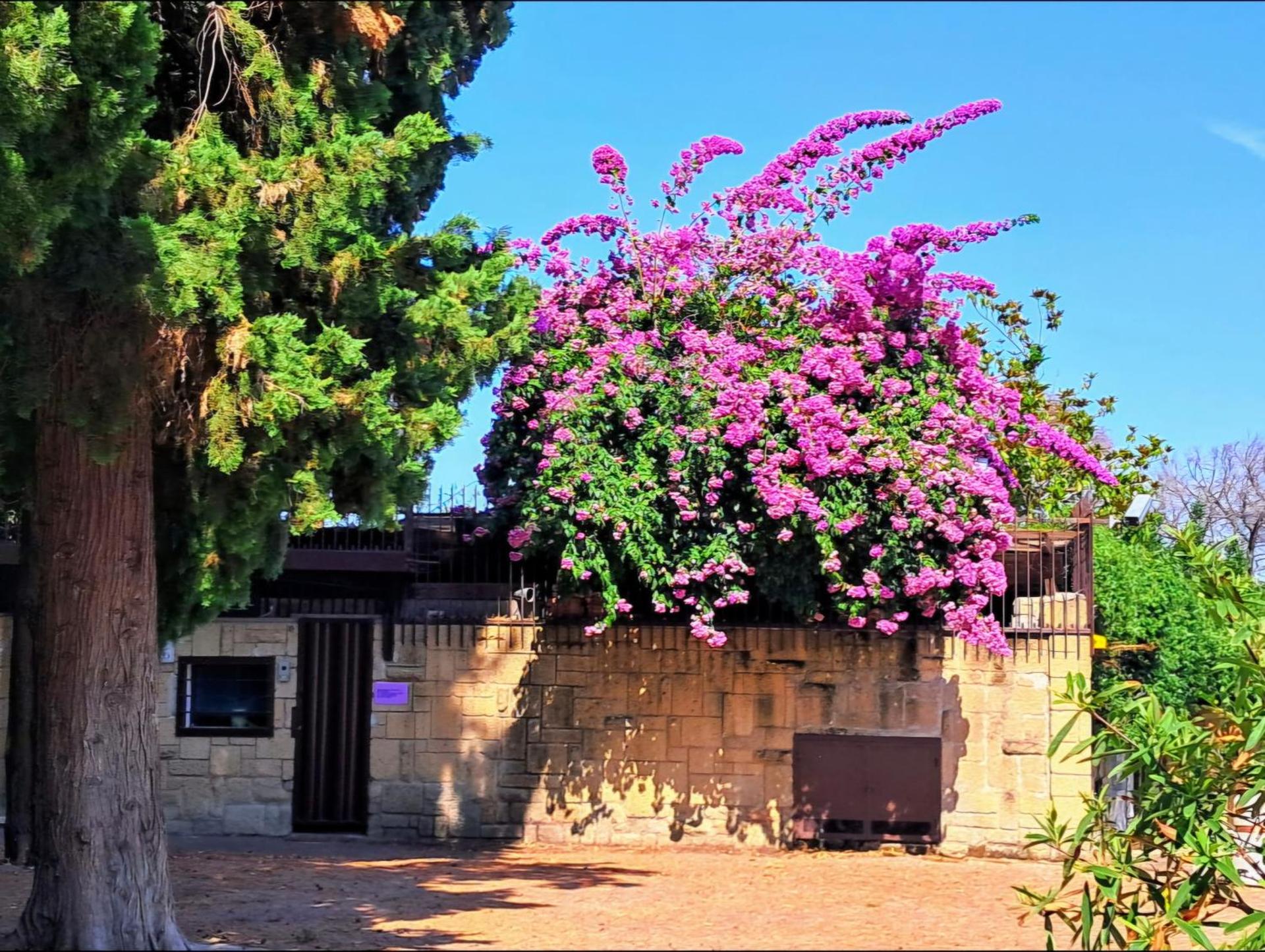 ELEGANTE VILLINO nel verde di Roma