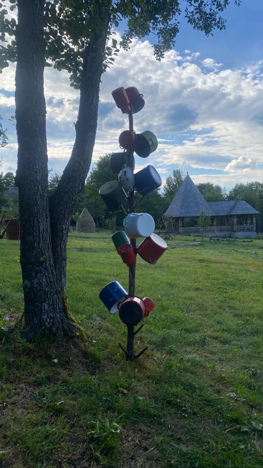 Poiana Creasta Cocosului-Casa Papadie