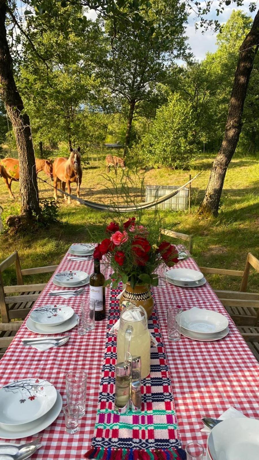 Poiana Creasta Cocosului-Casa Papadie