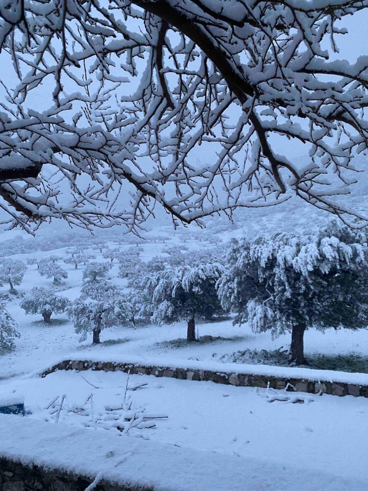 Cheerful 3 bedroom cottage with indoor fireplace