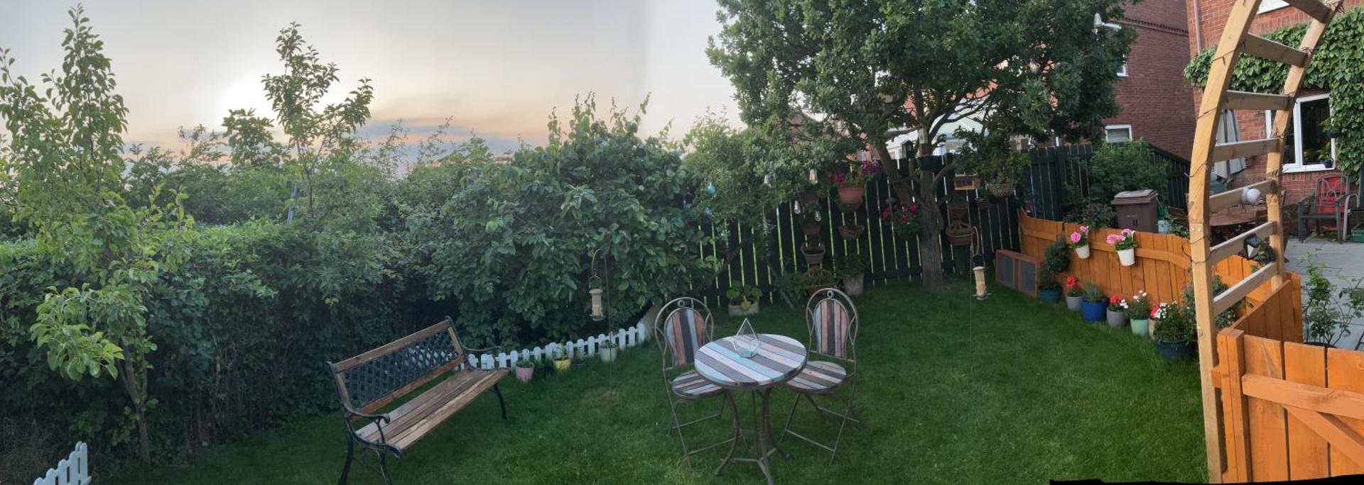 Chez Little Black Cat