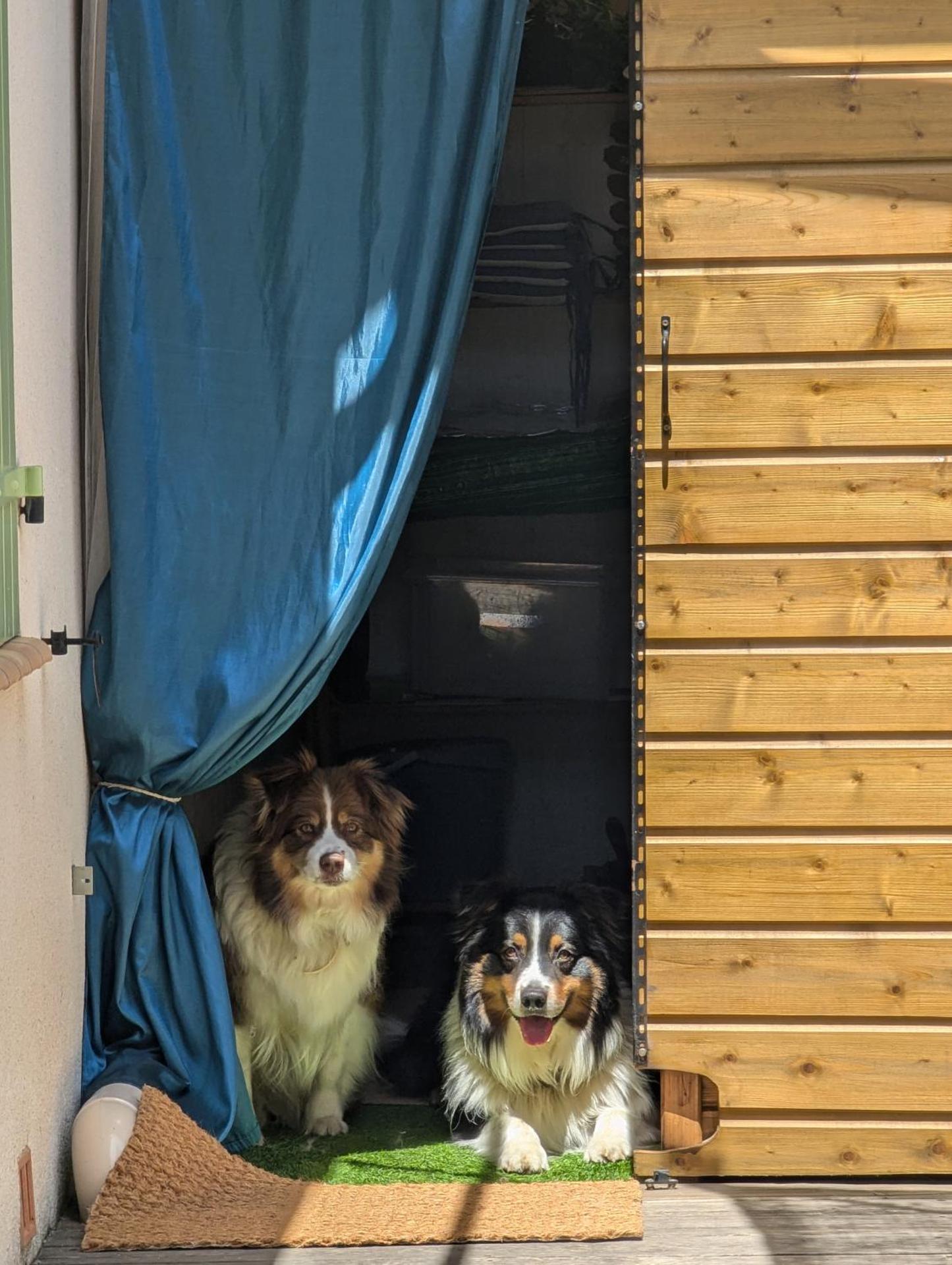 chalet proche de la mer