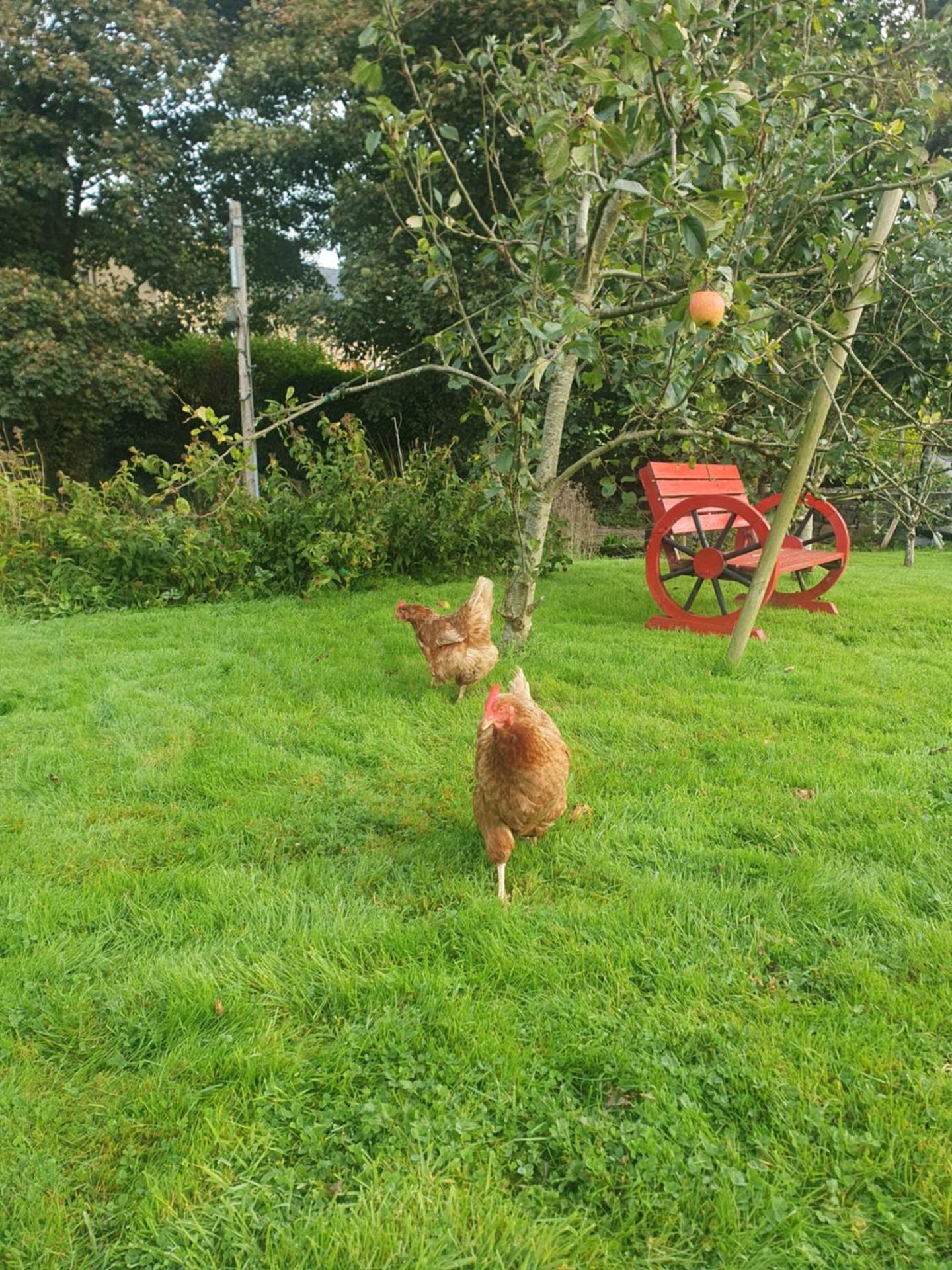 Urkers' Guest Accommodation