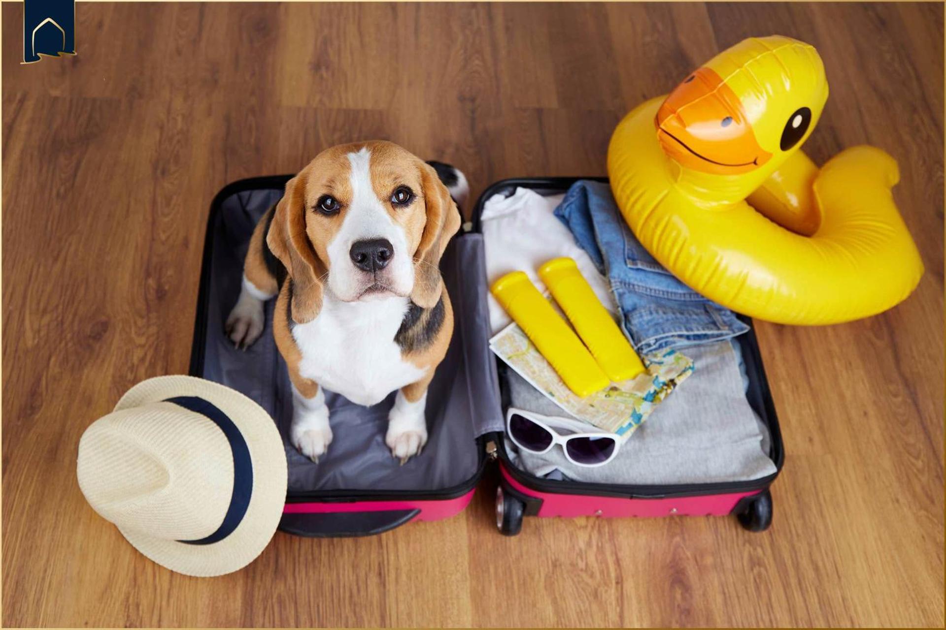 Ferienwohnung Thurbruch