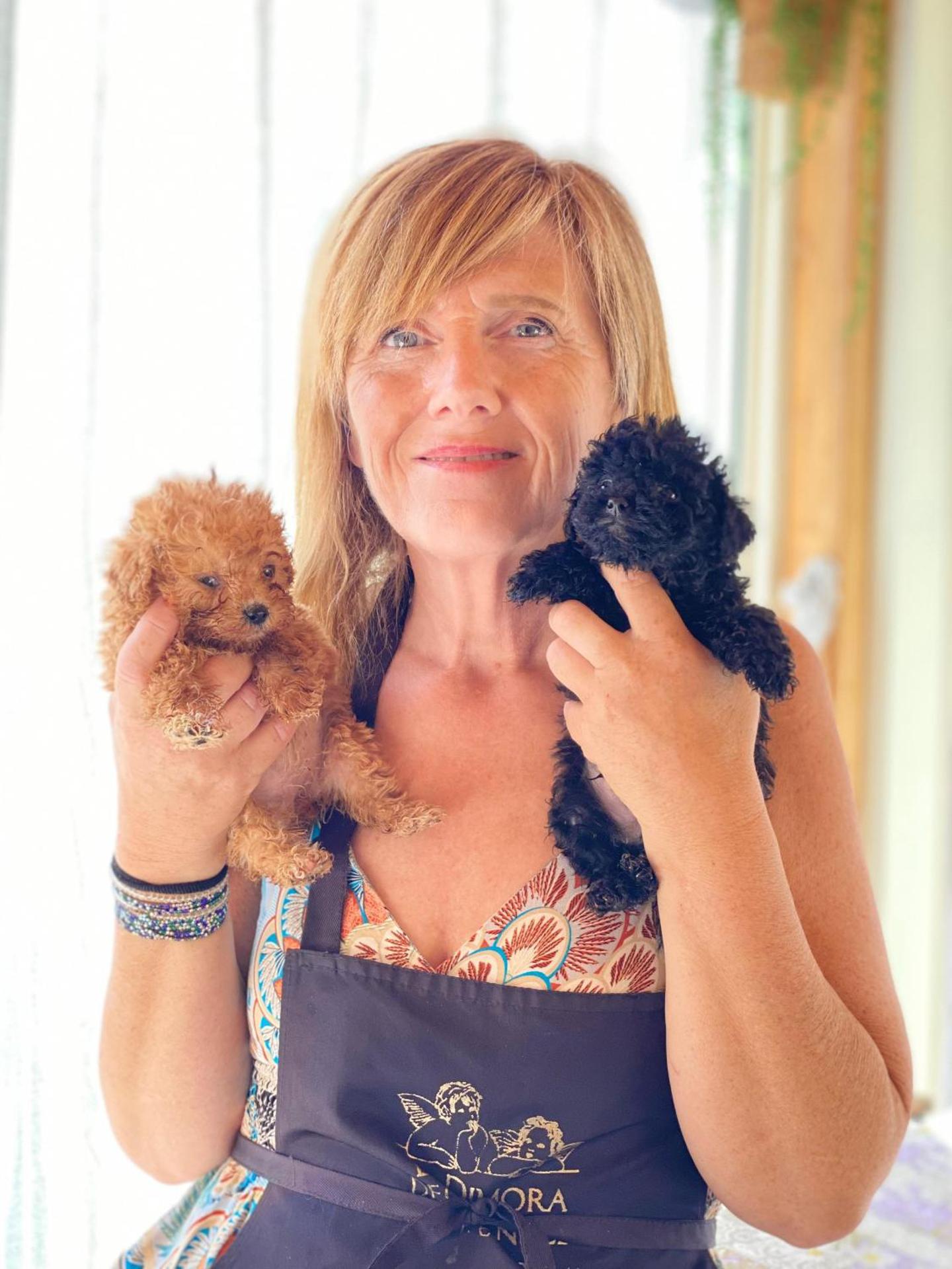 la dimora degli angeli