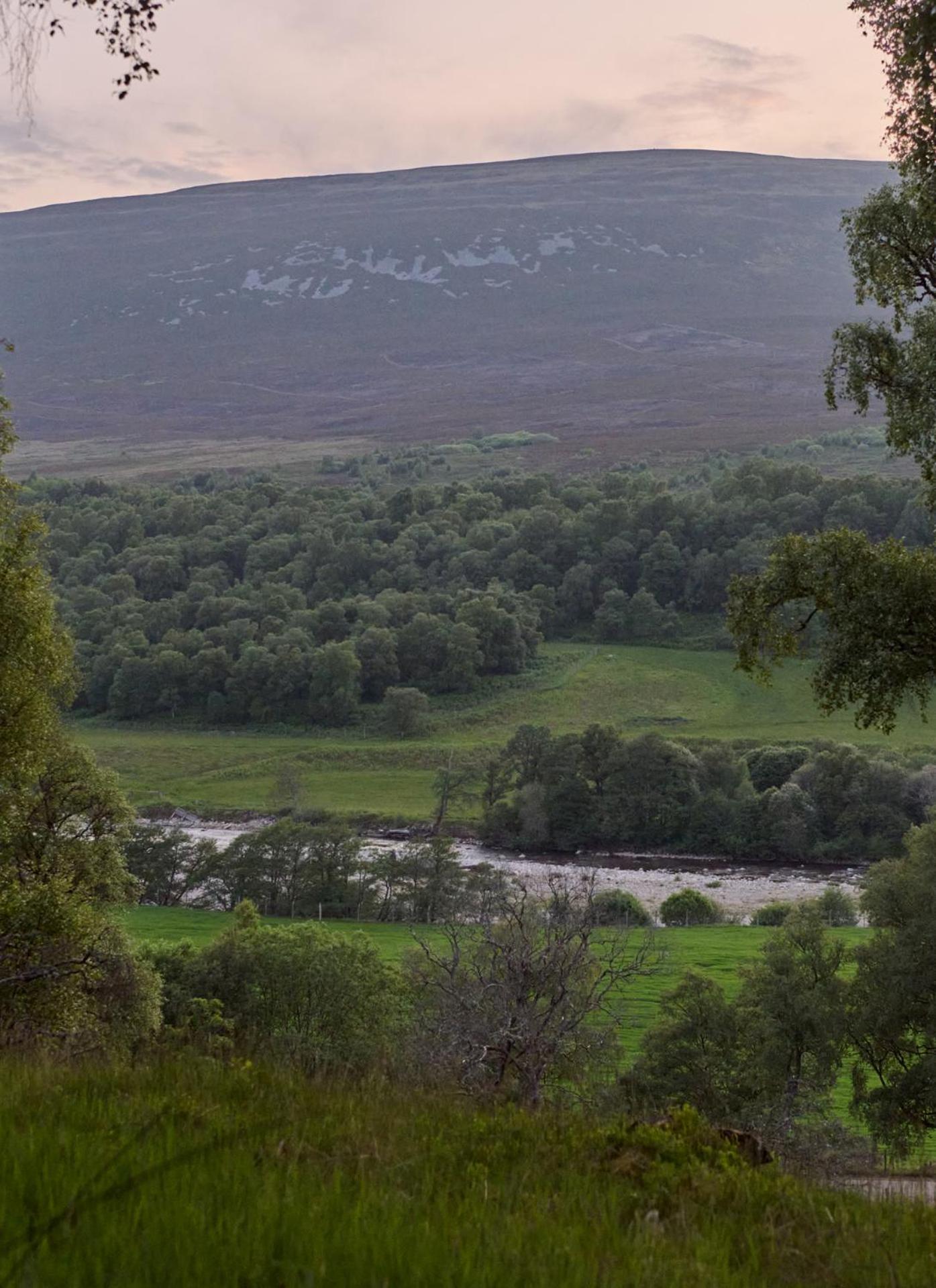 The Dell at Glenlivet