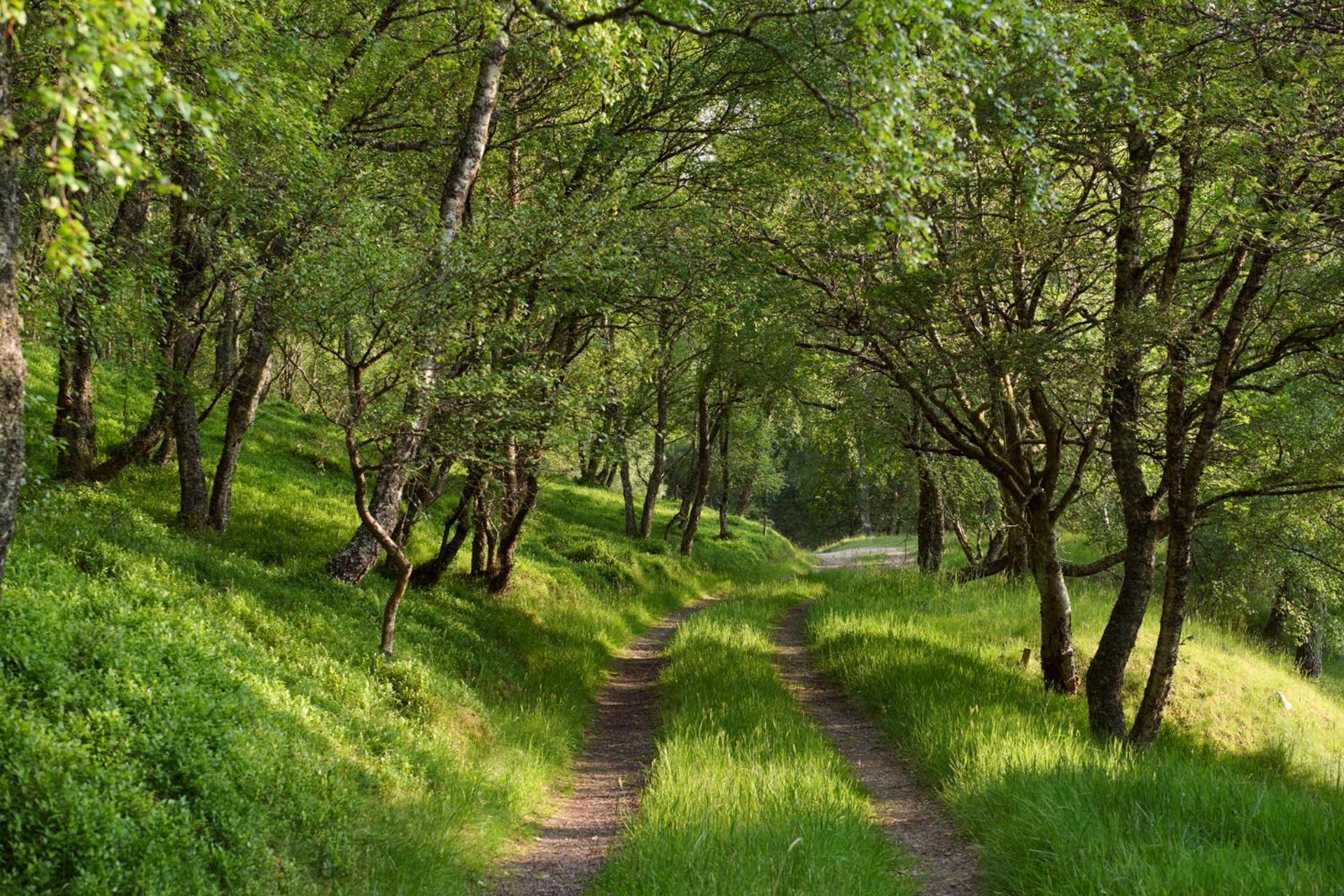 The Dell at Glenlivet