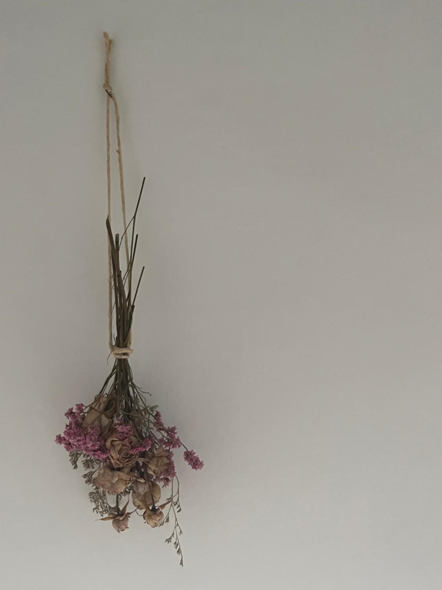 Locazione Culturale - Short Rent in Atri -