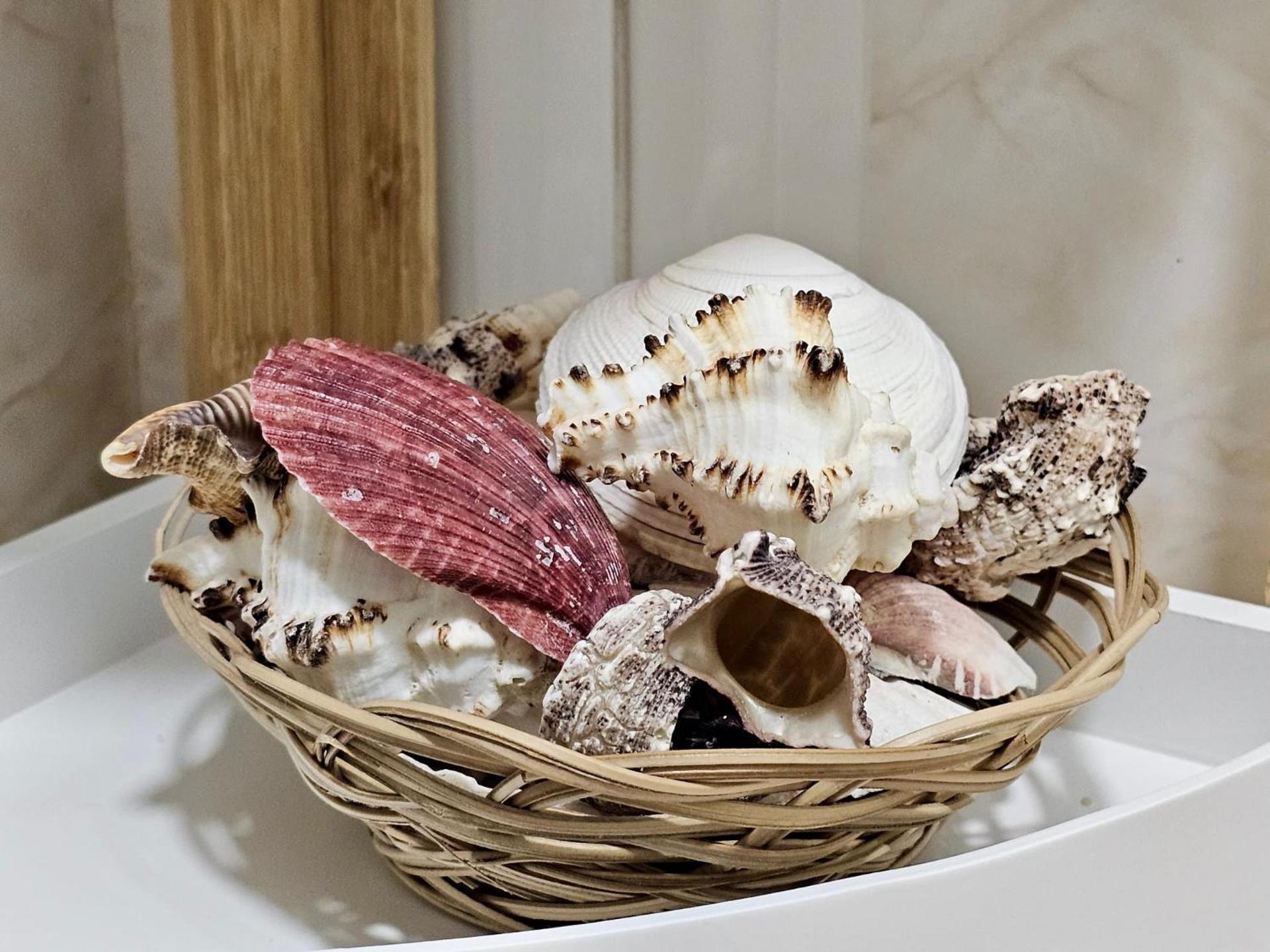 Luxury Oceanside Getaway