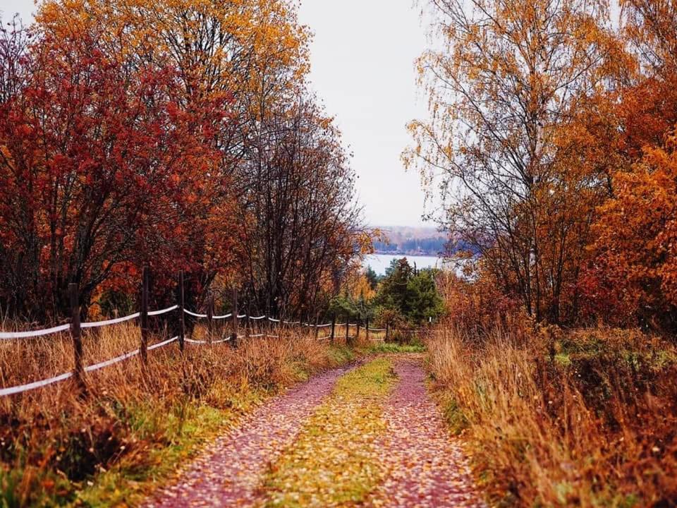 Mysig stuga på Sollerön nära Siljan & Mora