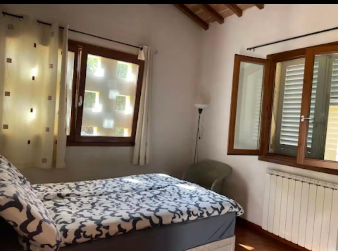 Under The Tuscan Trees