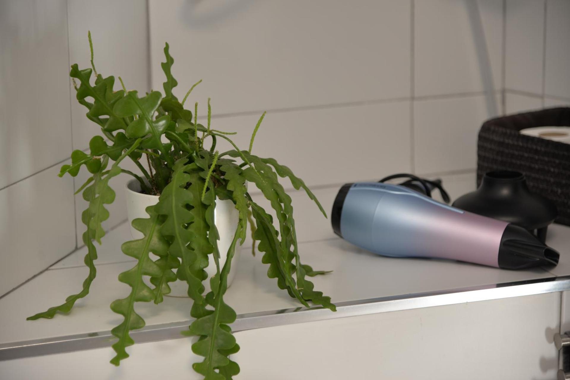 BArcelona BAdalona Relax PLAYA y METRO