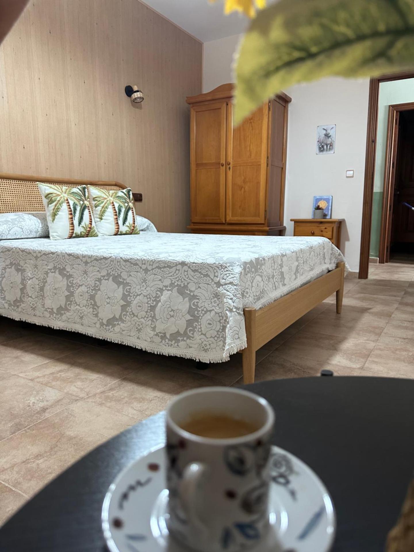 CASA RURAL LAS PALMERAS