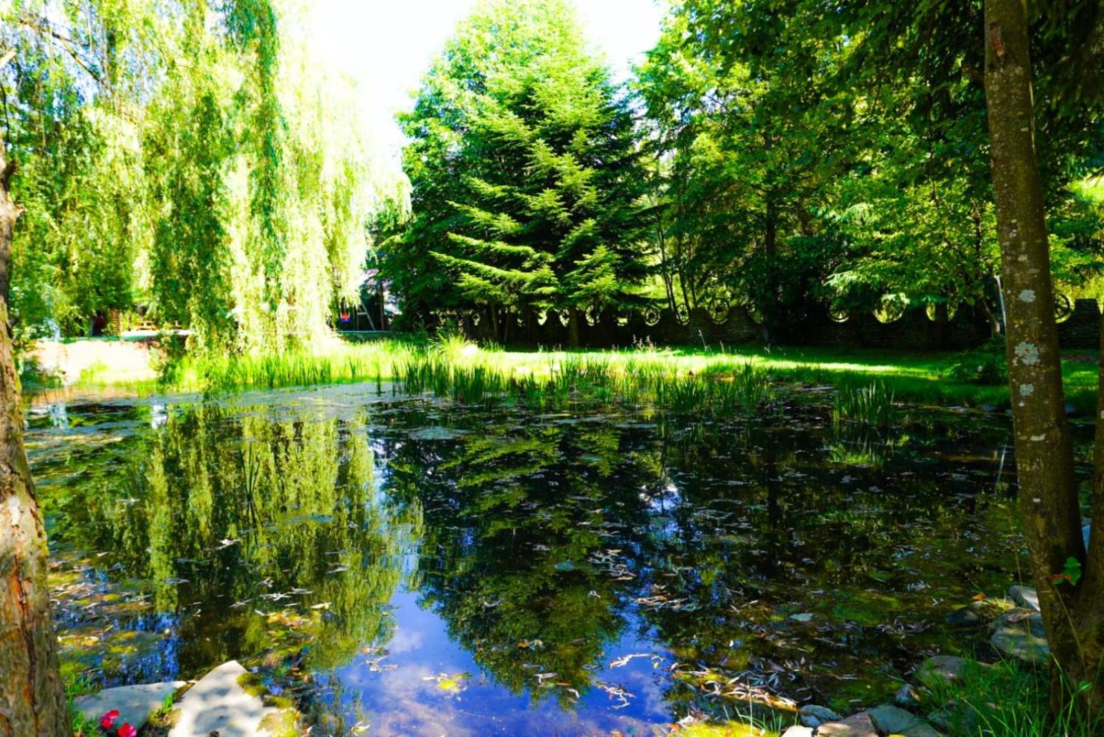 Pensiunea Perla Maramuresului