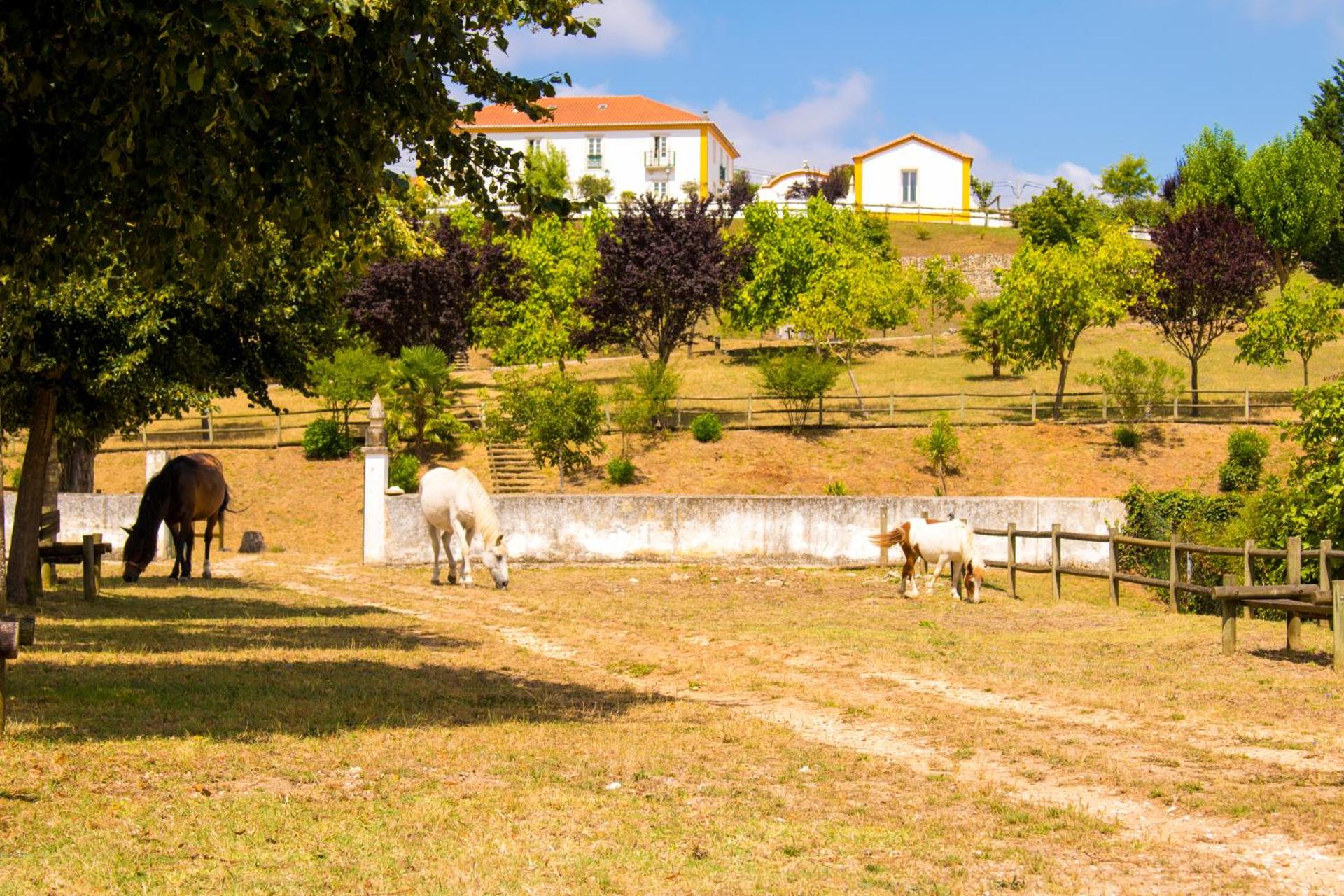 QUINTA DE SANT'ANA