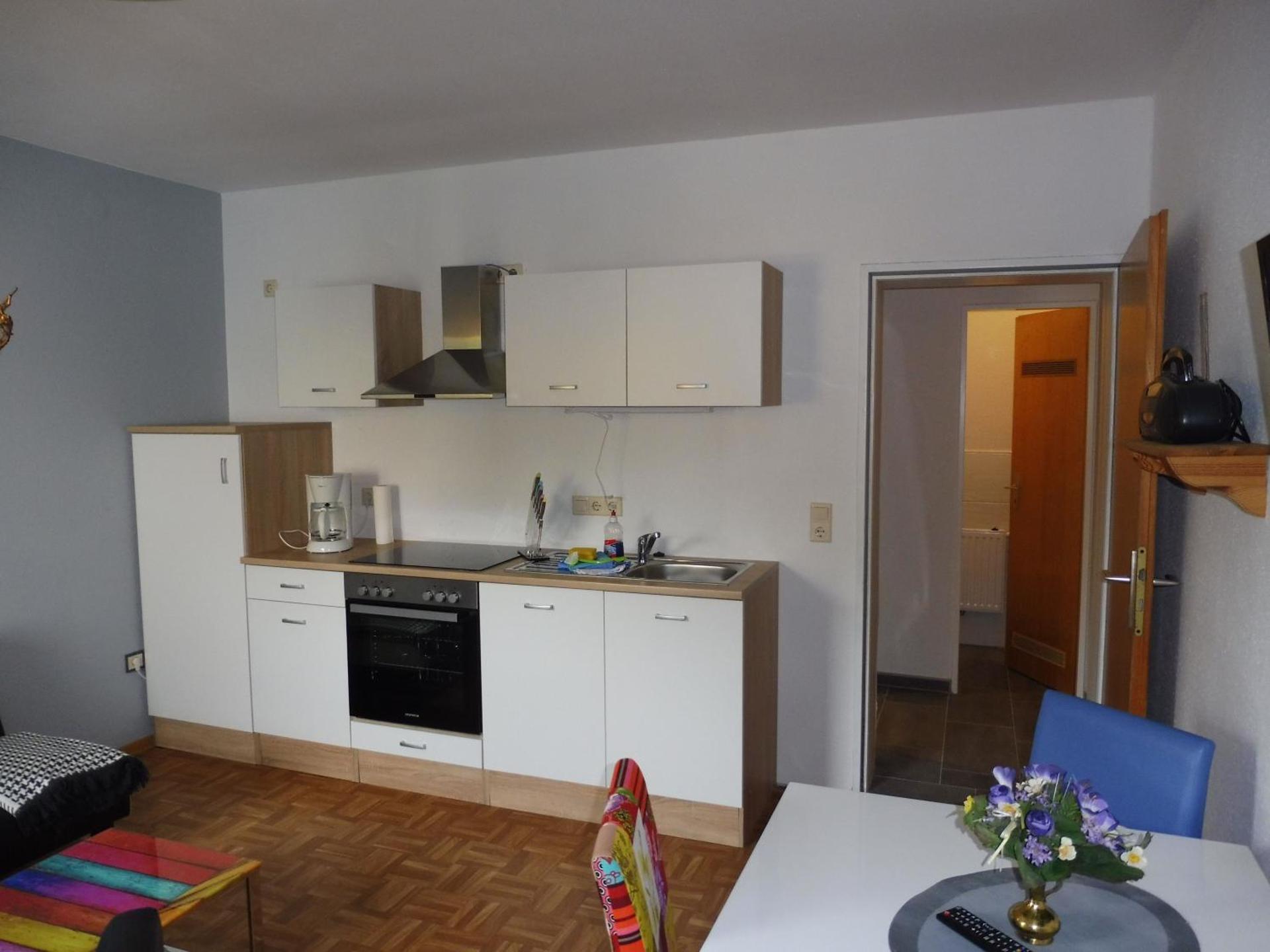 One-Bedroom Apartment with Shower