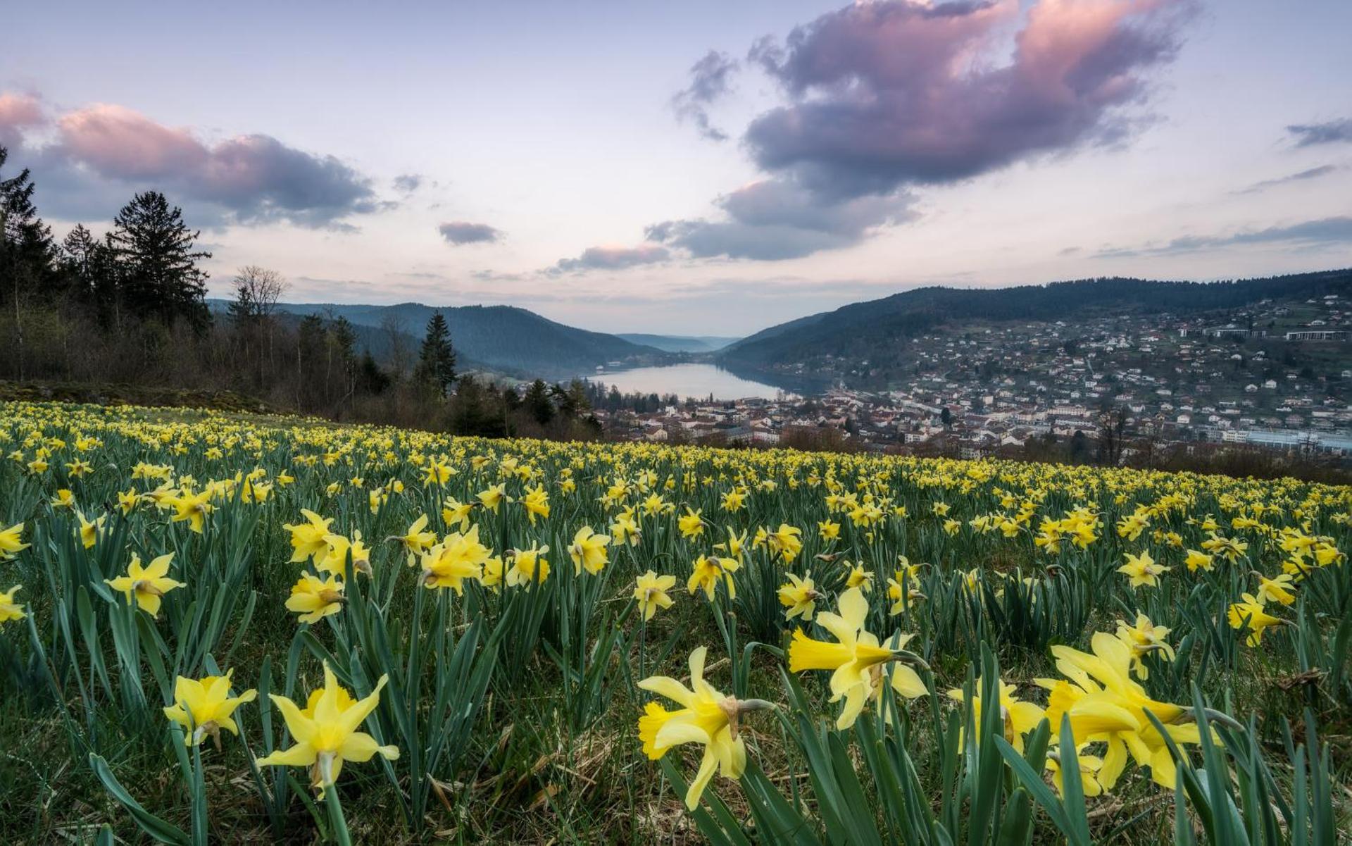 Le Domaine des Fleurs - Chalet La Reine des Prés