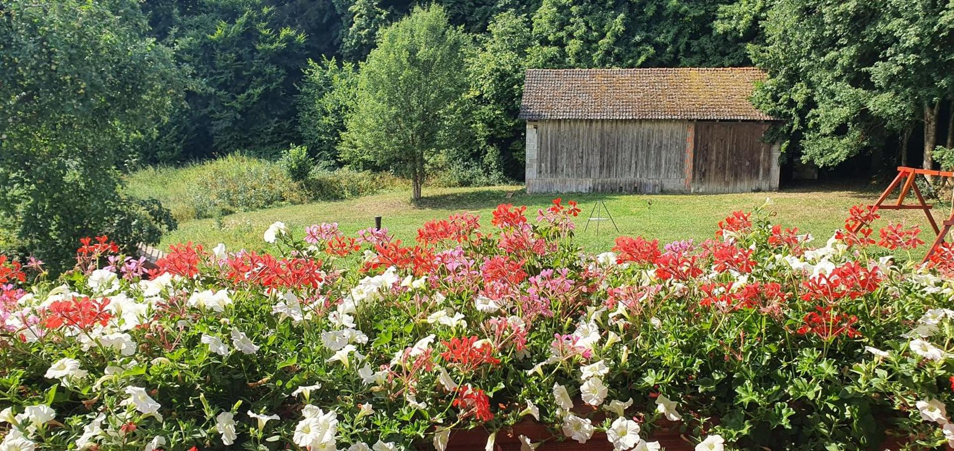 Gasthaus Zum Schneider