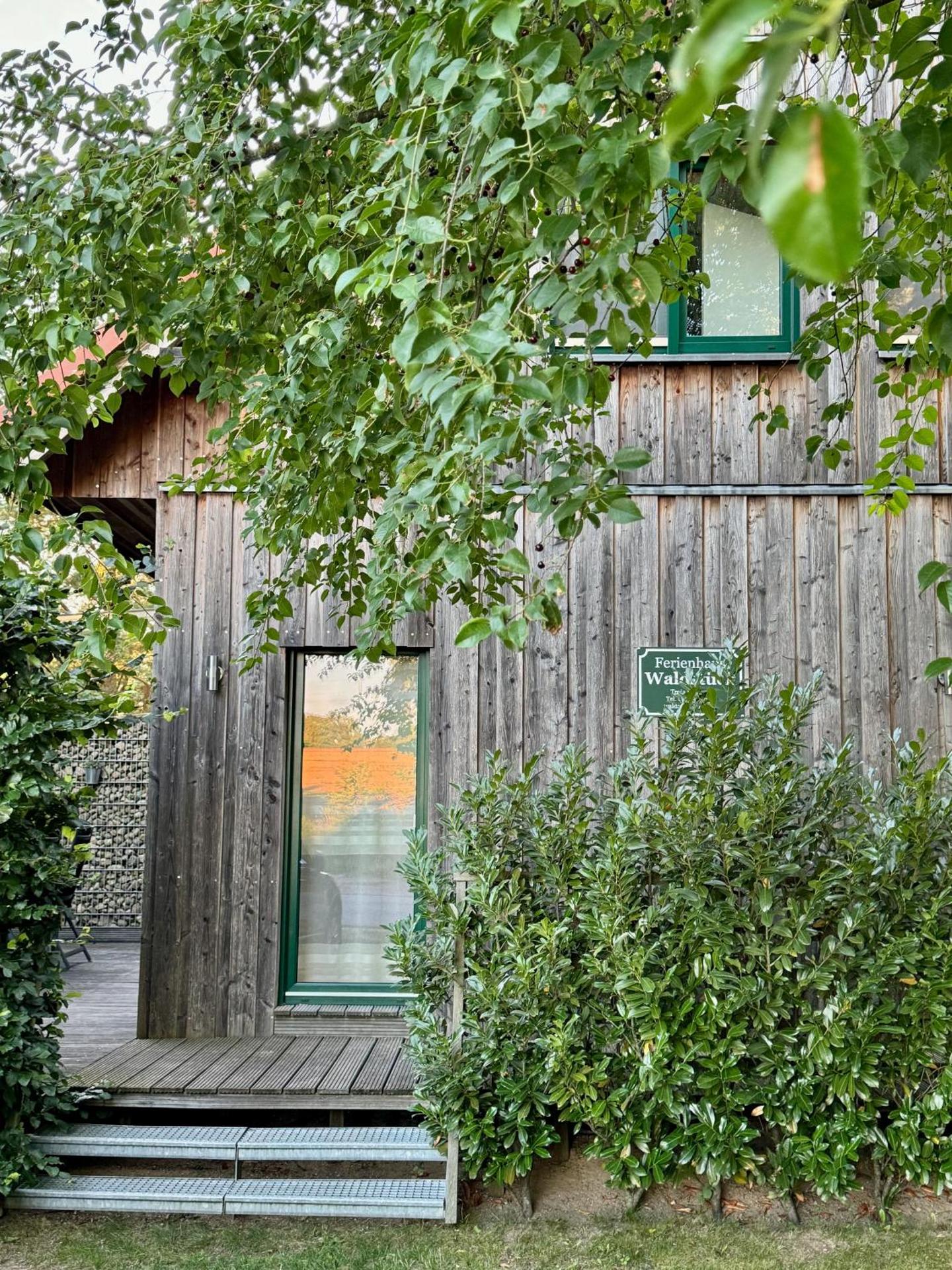 Ferienwohnungen im Haus Waldstück