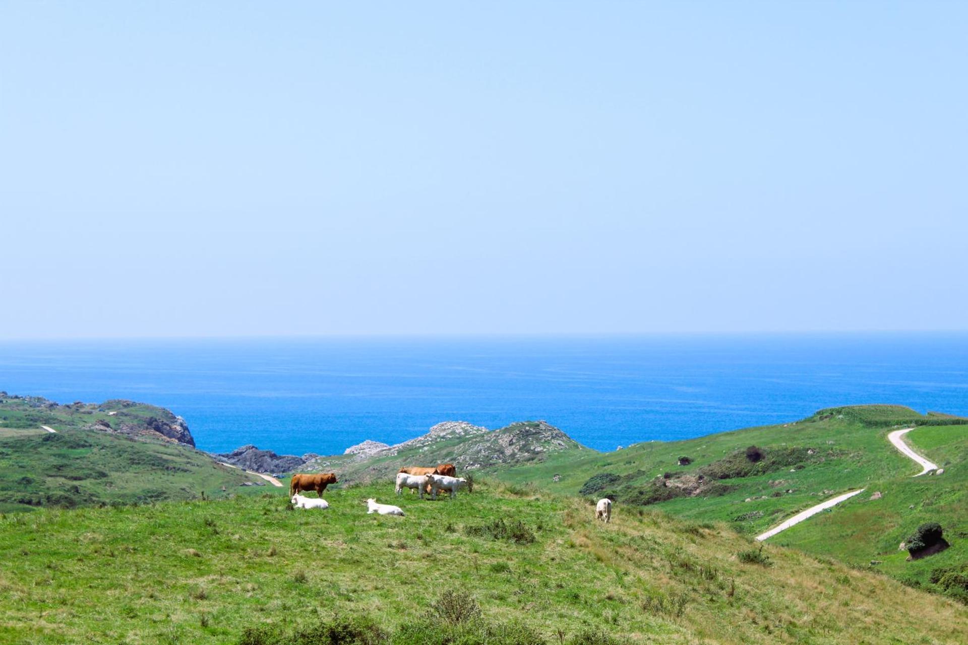 Apartamentos El Prau