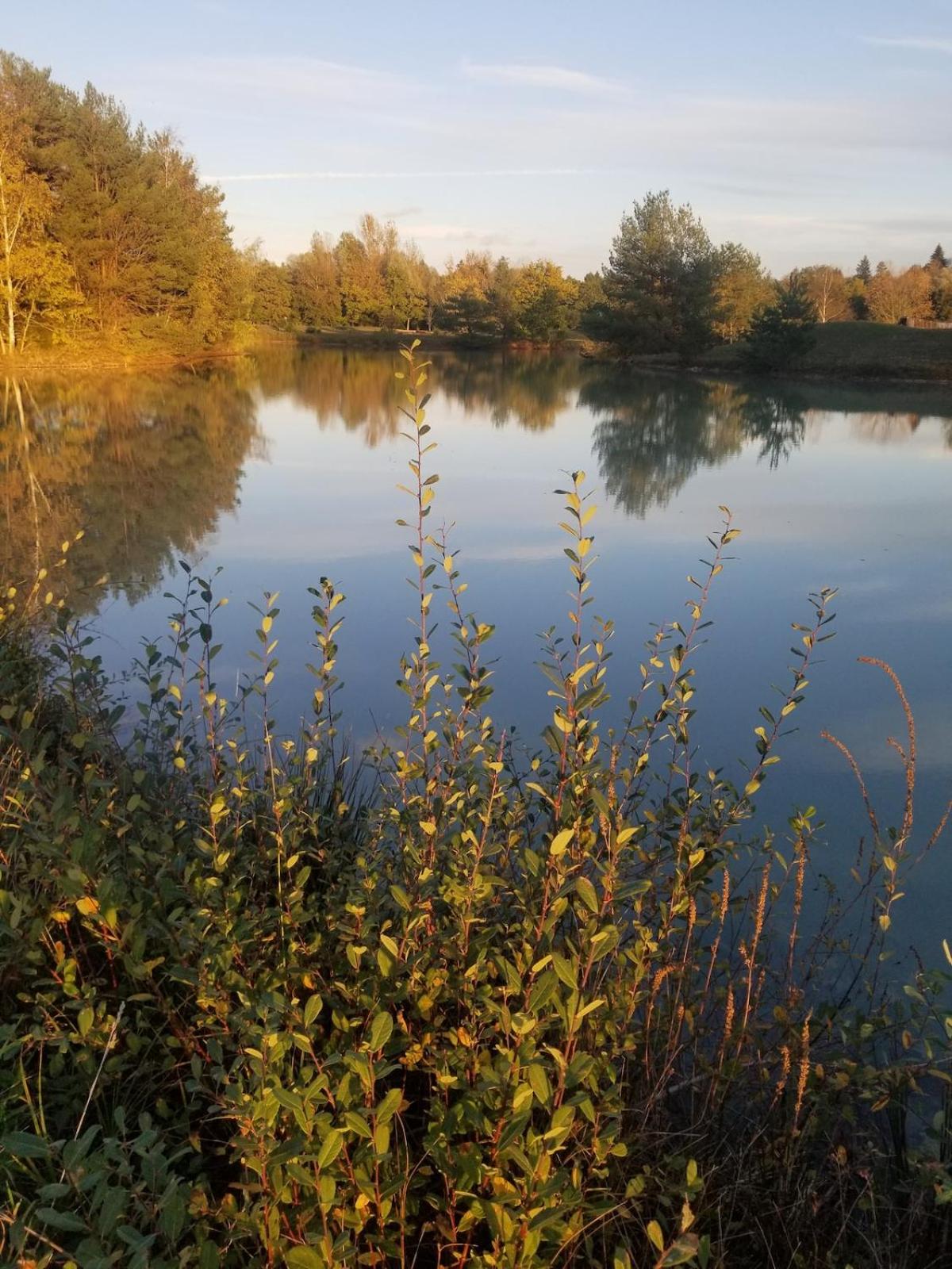 Beautiful suite in a historical castle in Loire Valley