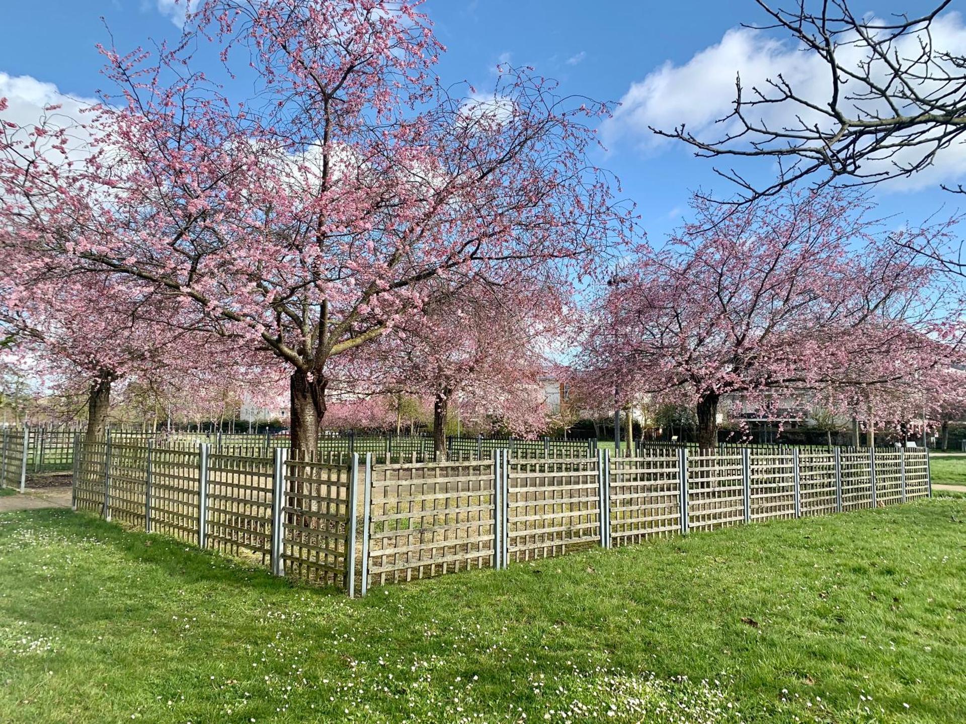 View (from property/room)