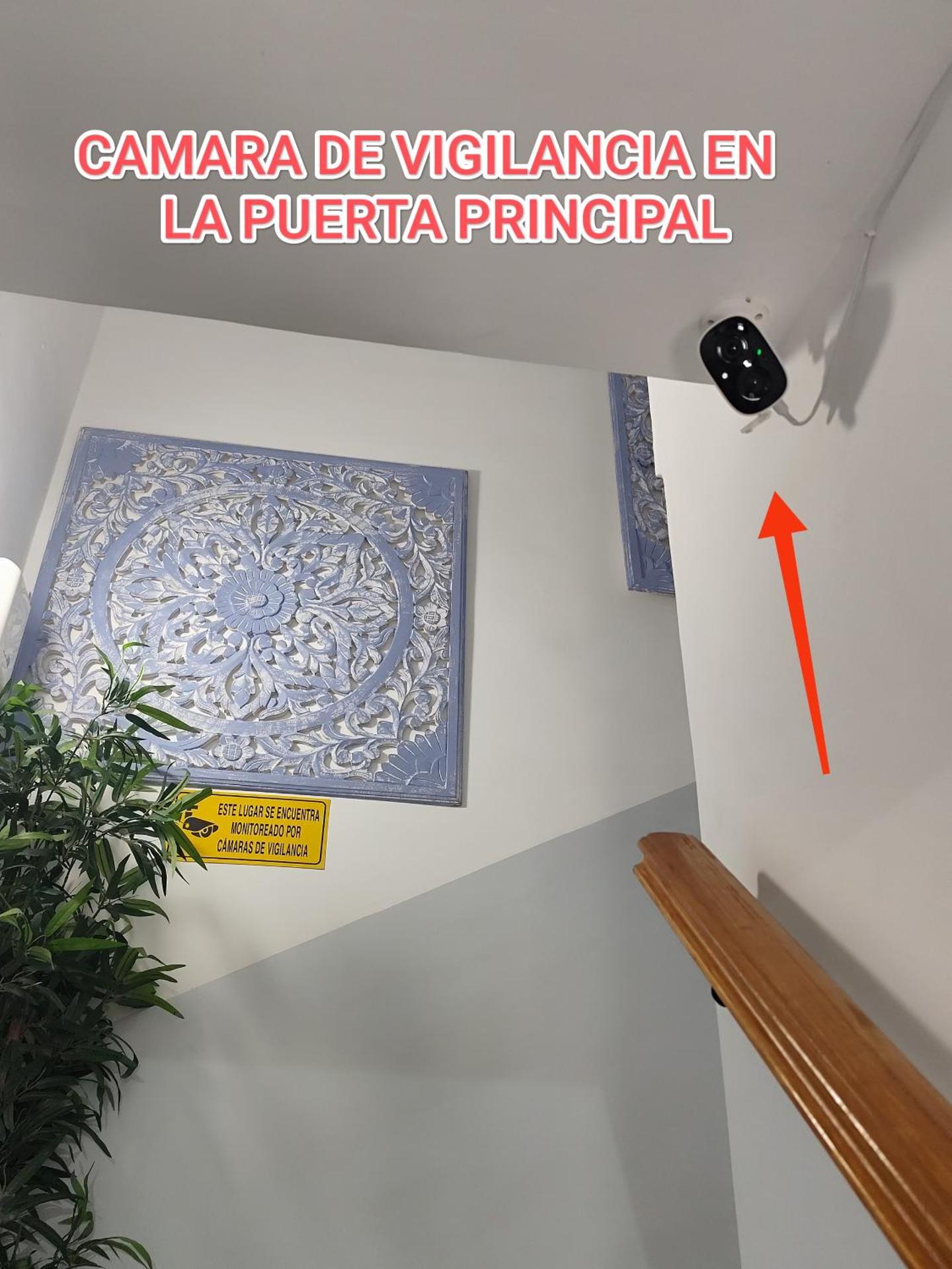 Apartamento Estudio VERDE