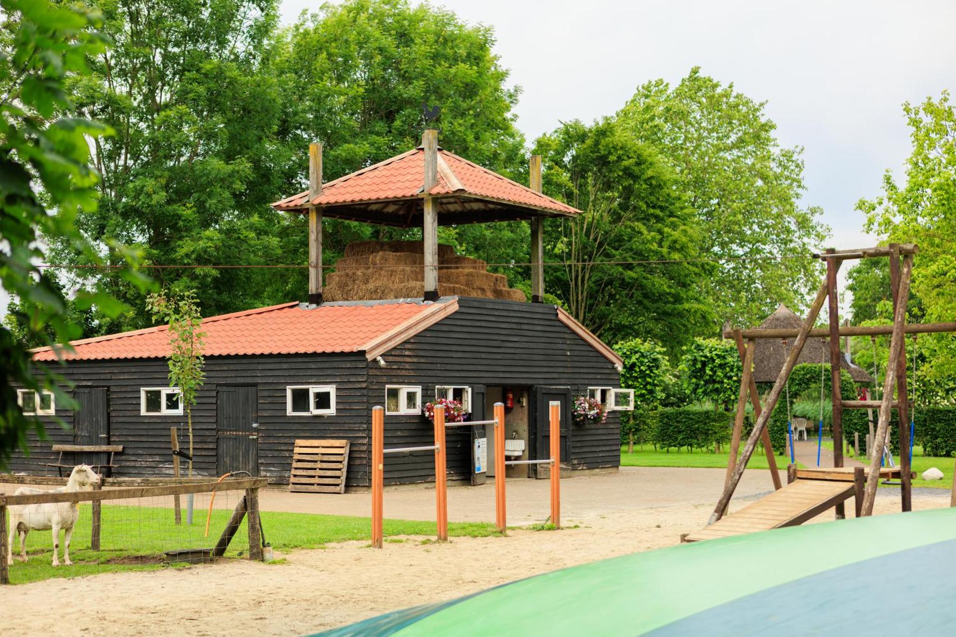 Children play ground
