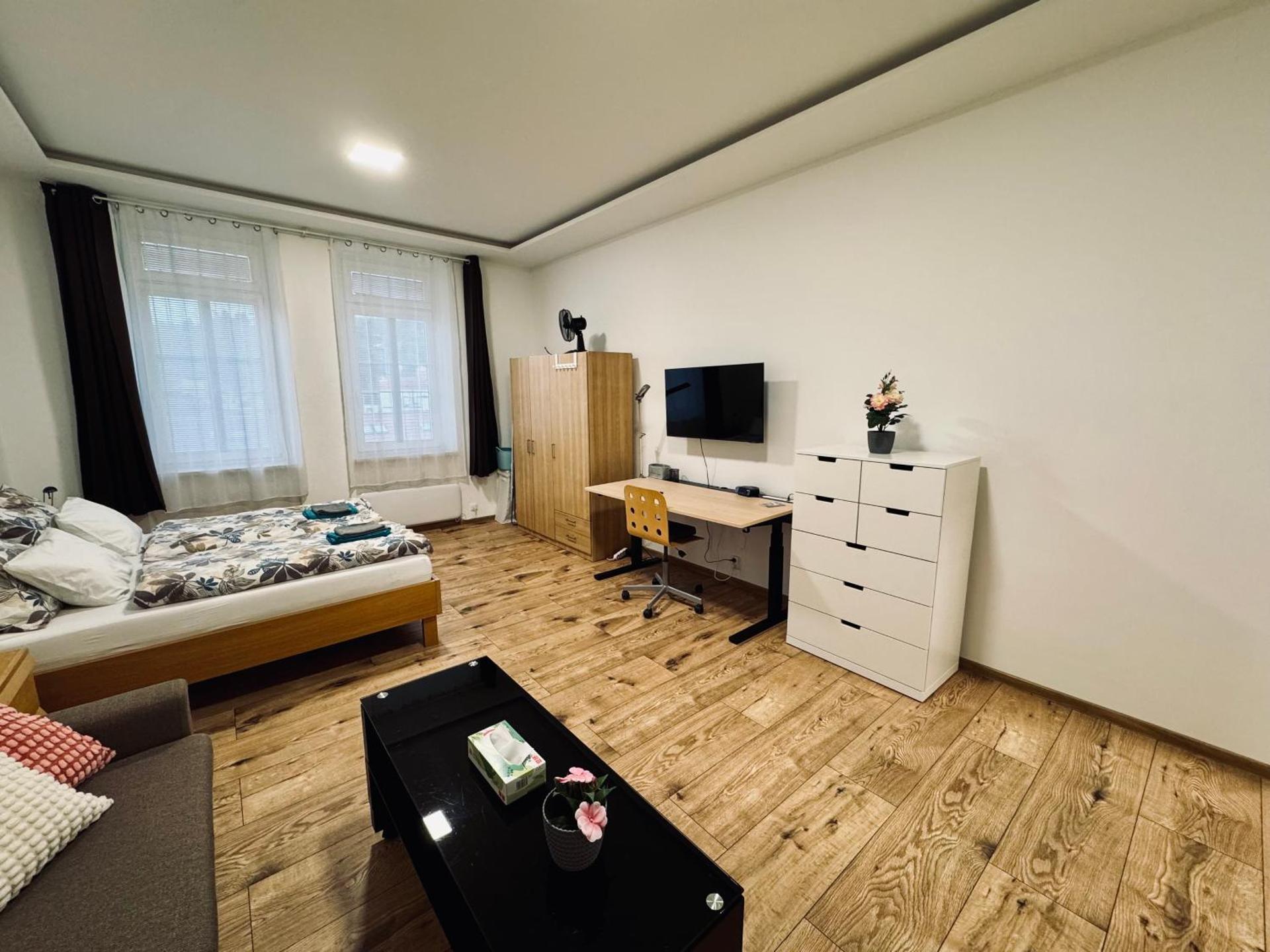 Apartment with Workspace and TV