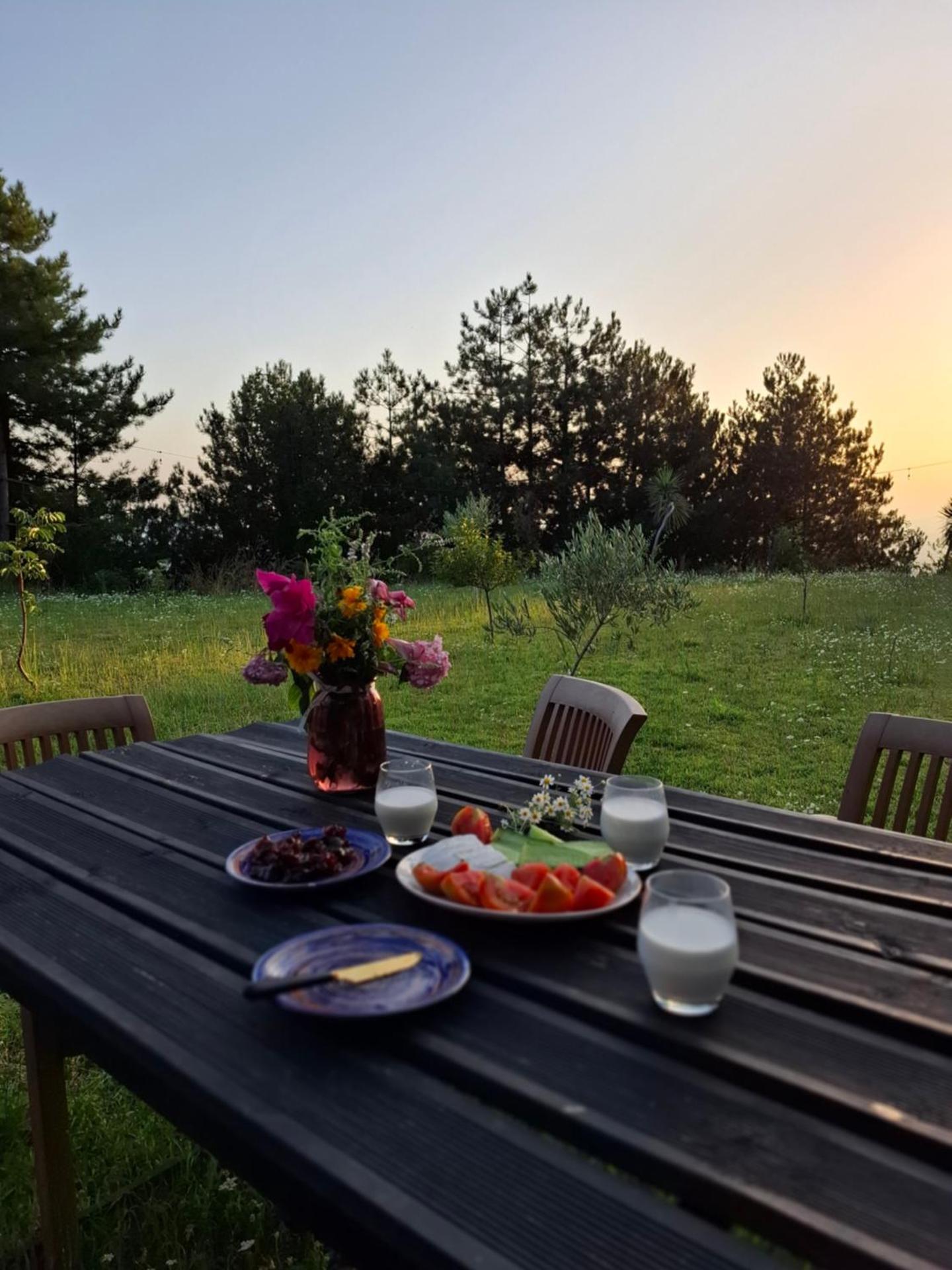 Vila Alpine Arlon Gjinar