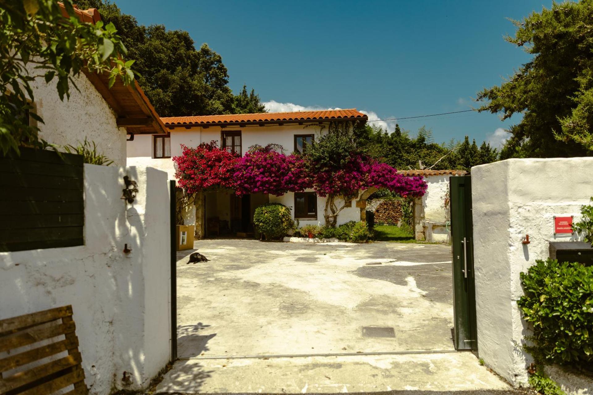 La casa de los árboles