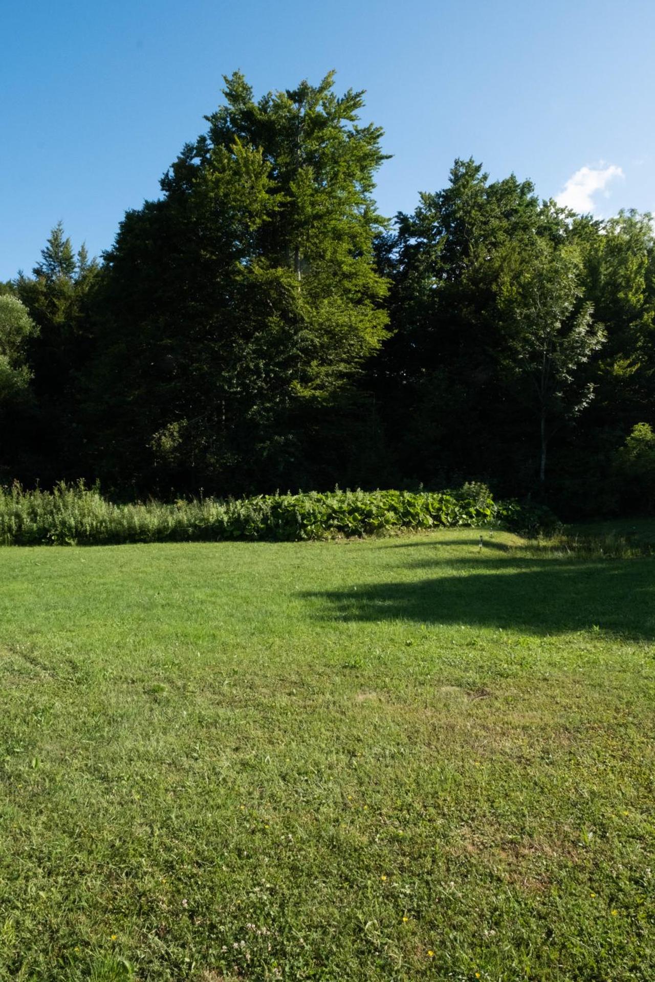 Inner courtyard view