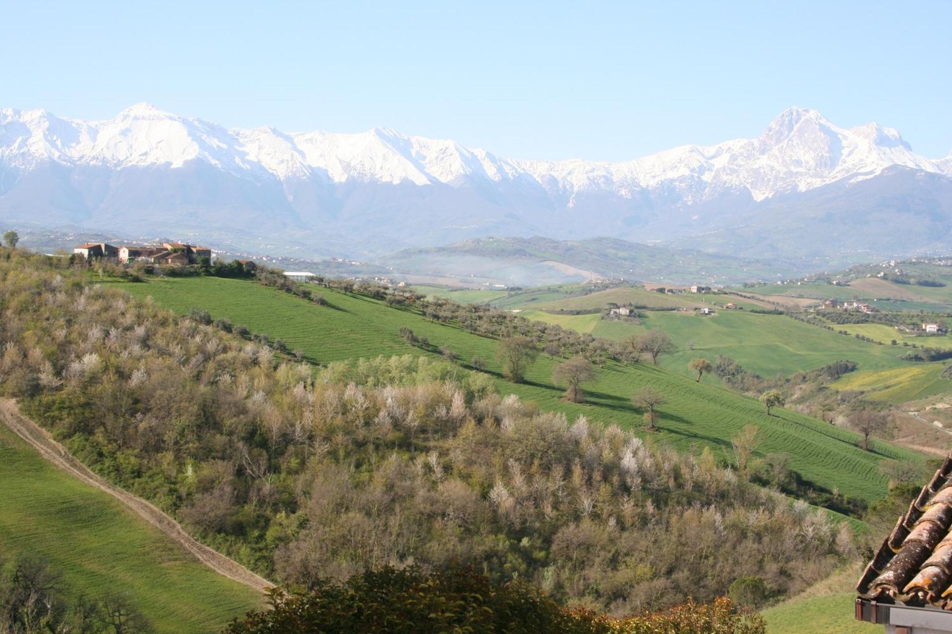 View (from property/room)