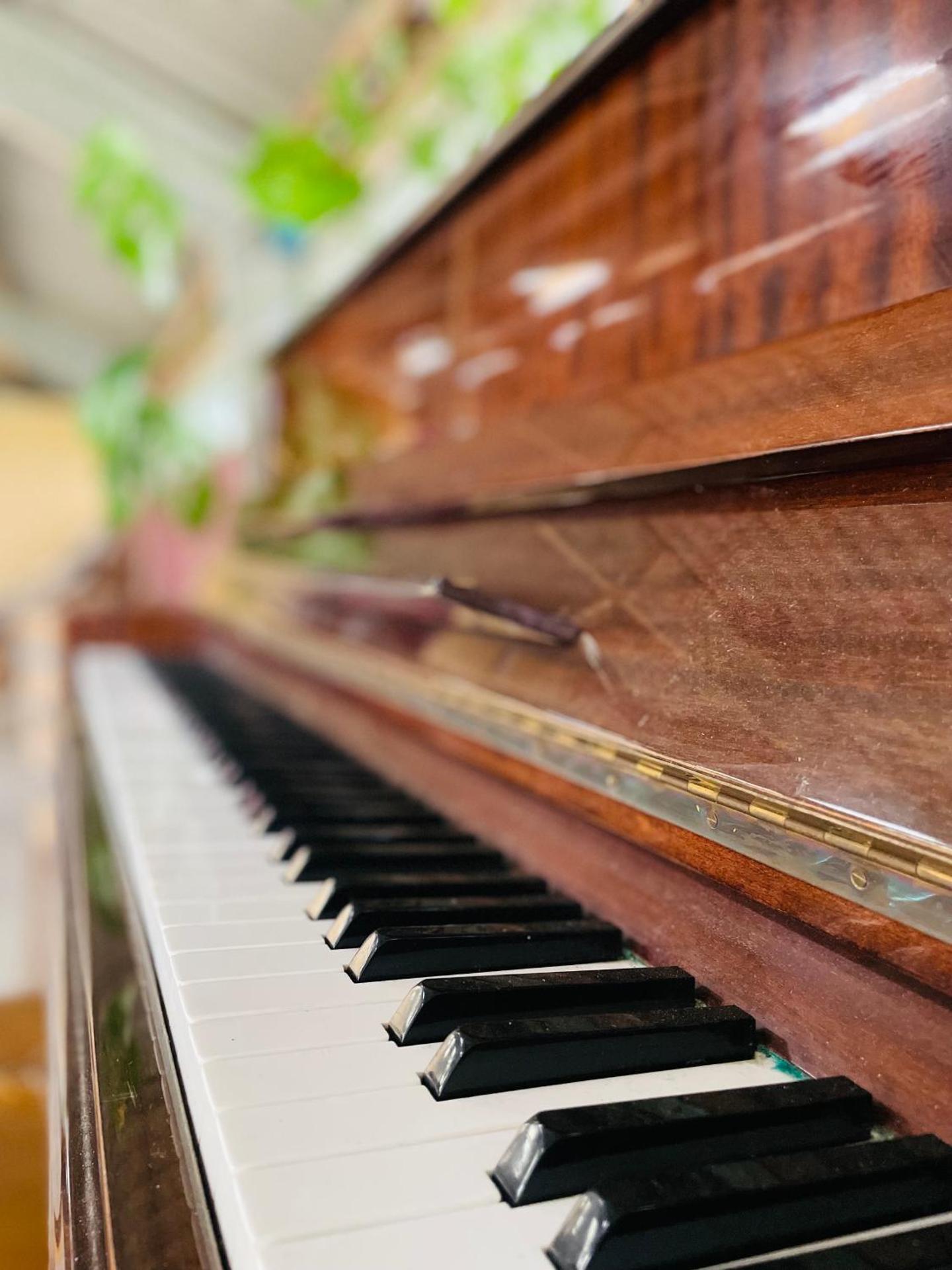 Cute little caravan for 2 in old orchard