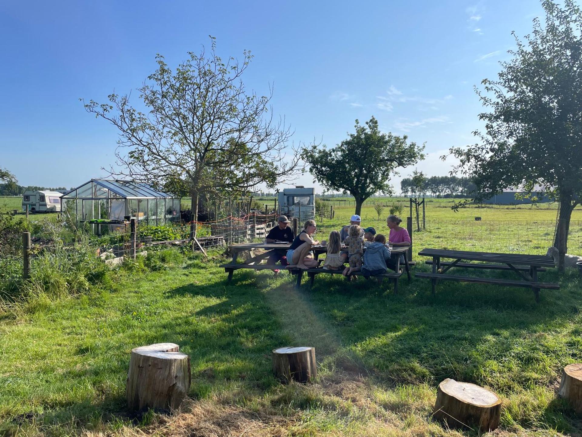 Cute little caravan for 2 in old orchard