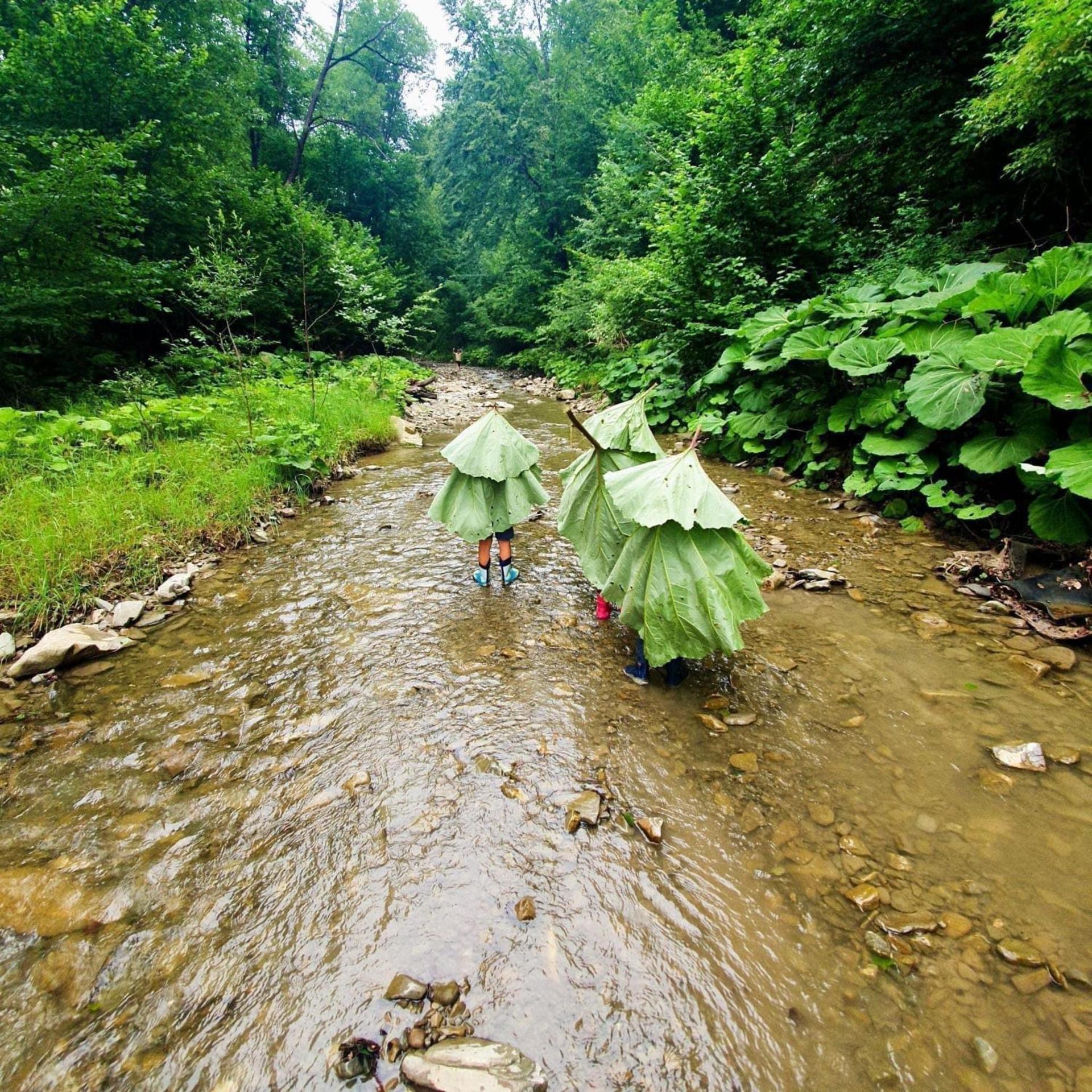 Forest House Doftana