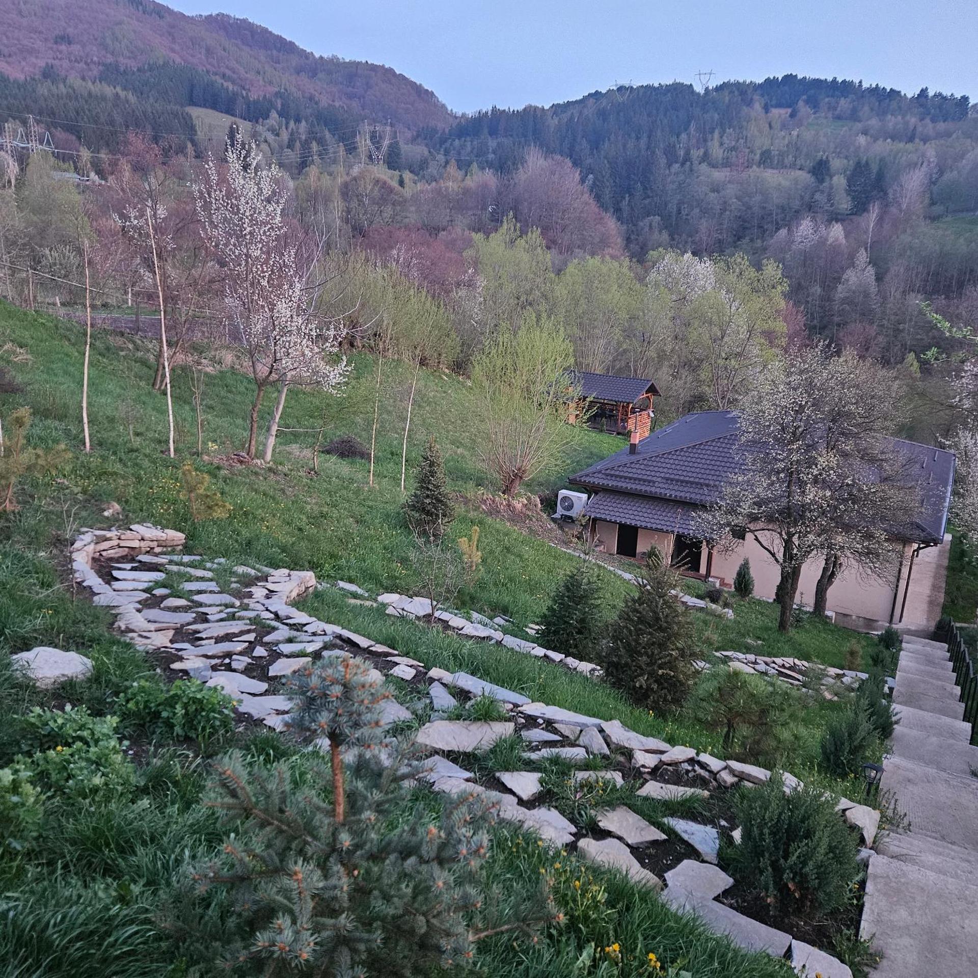 Forest House Doftana