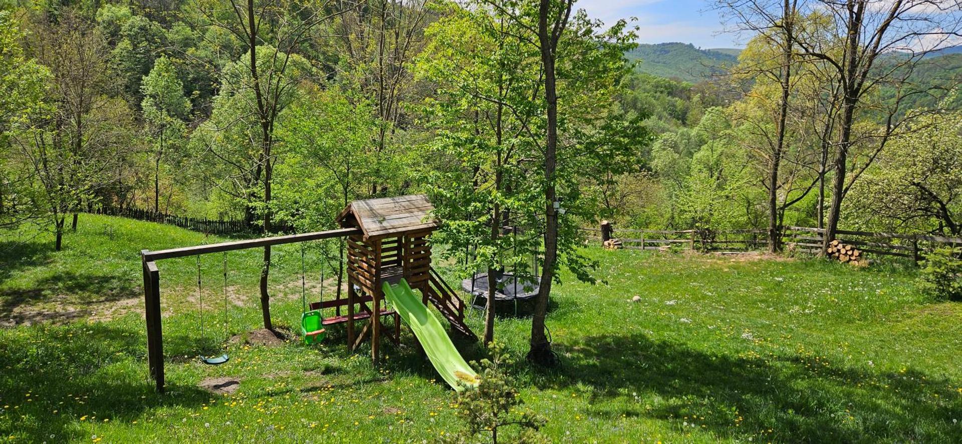 Forest House Doftana