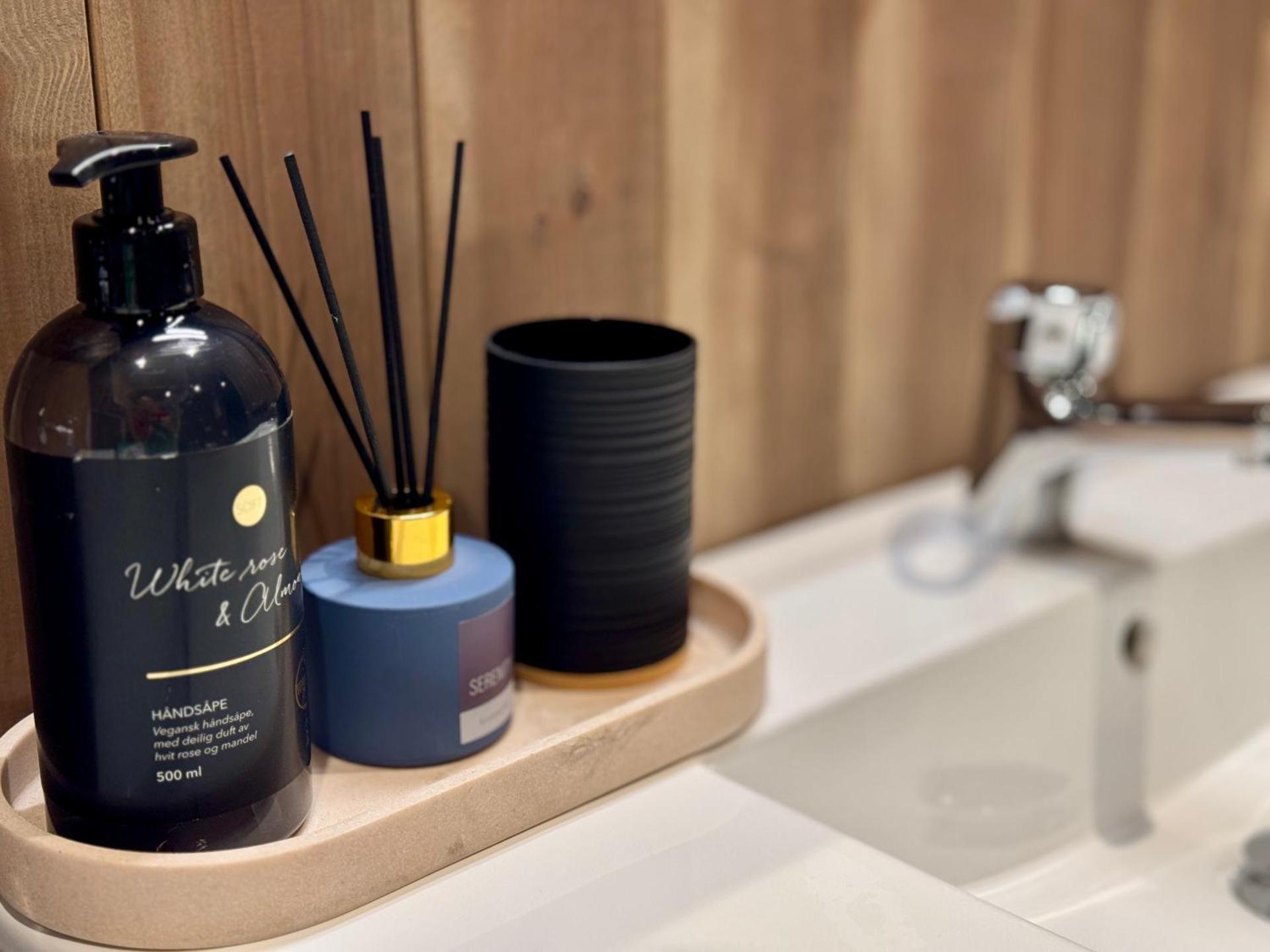 New apartment, Gausta in Rjukan. Ski in/ ski out