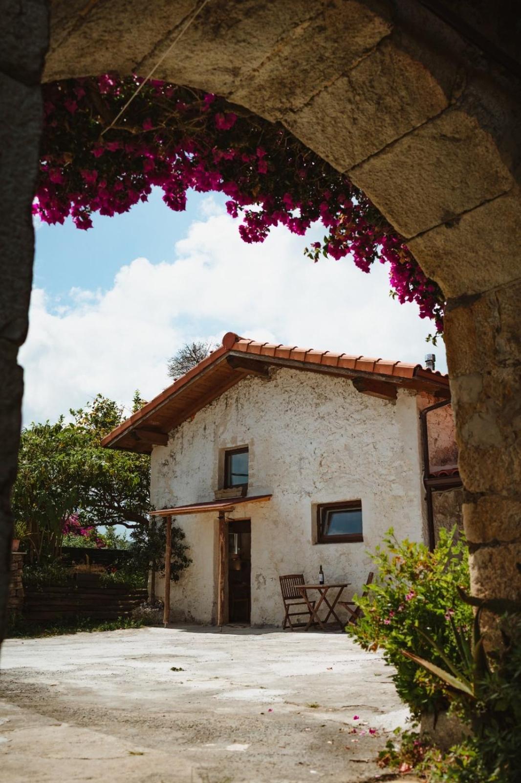 La casa de los árboles