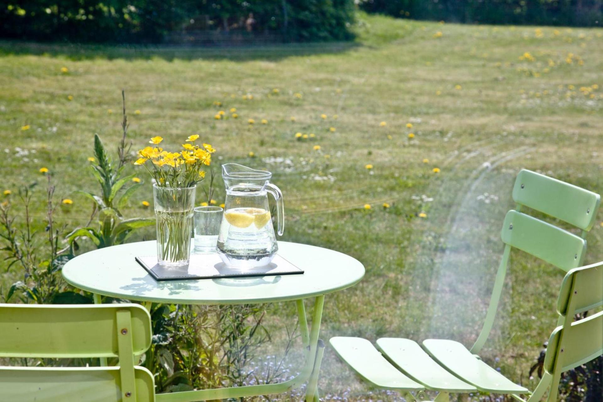 Pamela's Meadow, Strawberryfield Park