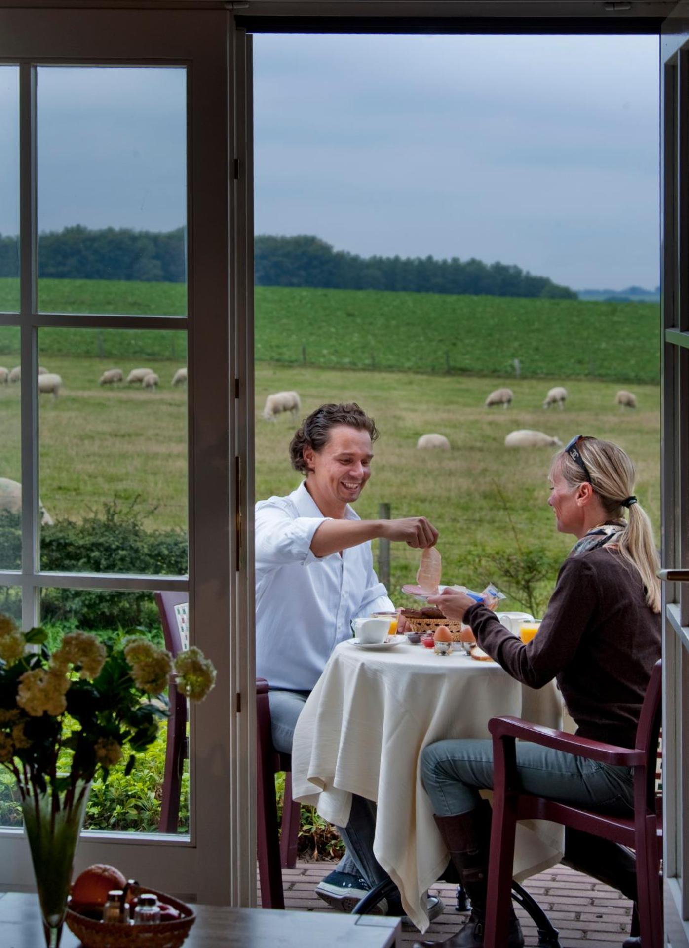 View (from property/room)