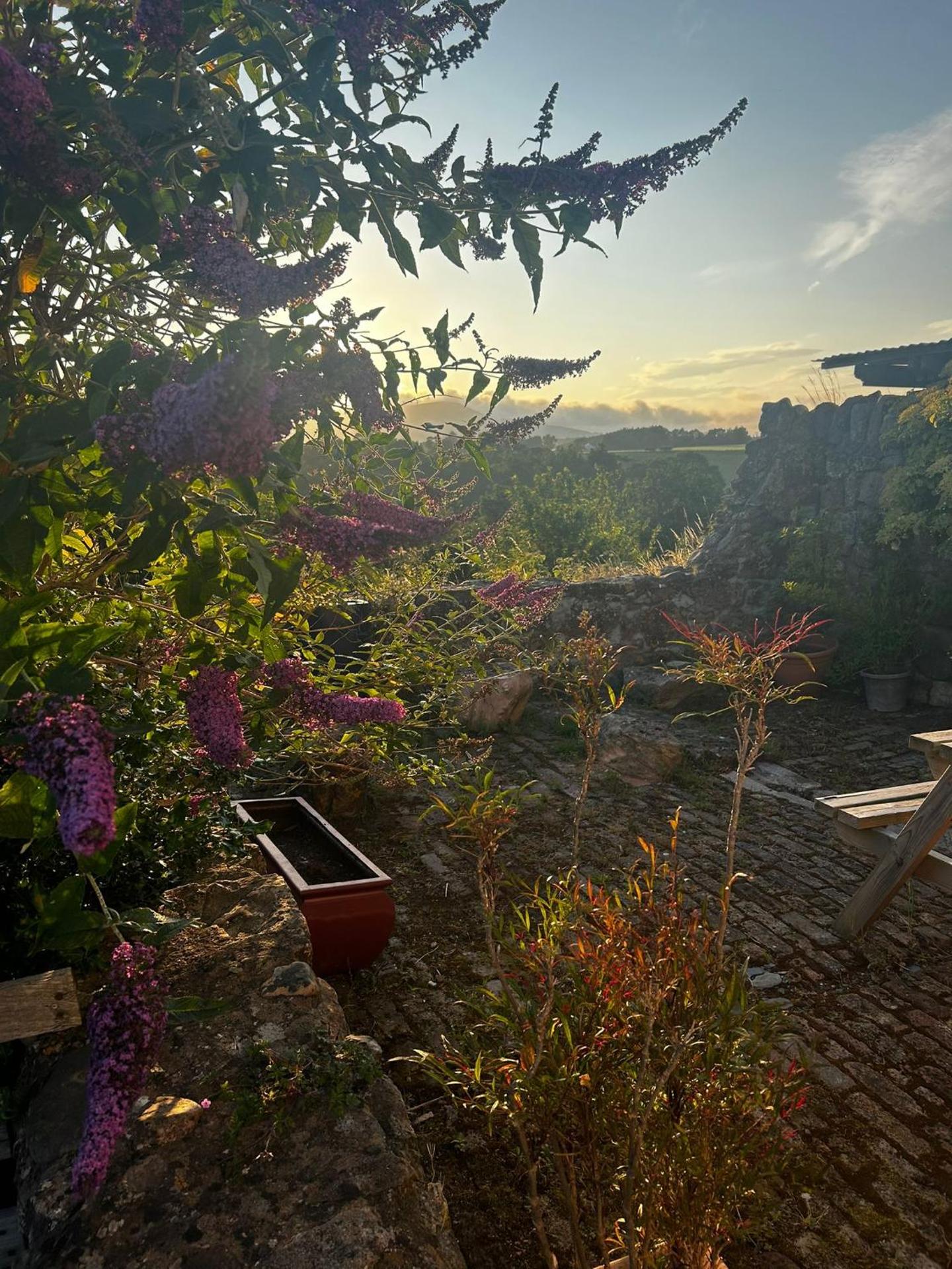 Inner courtyard view
