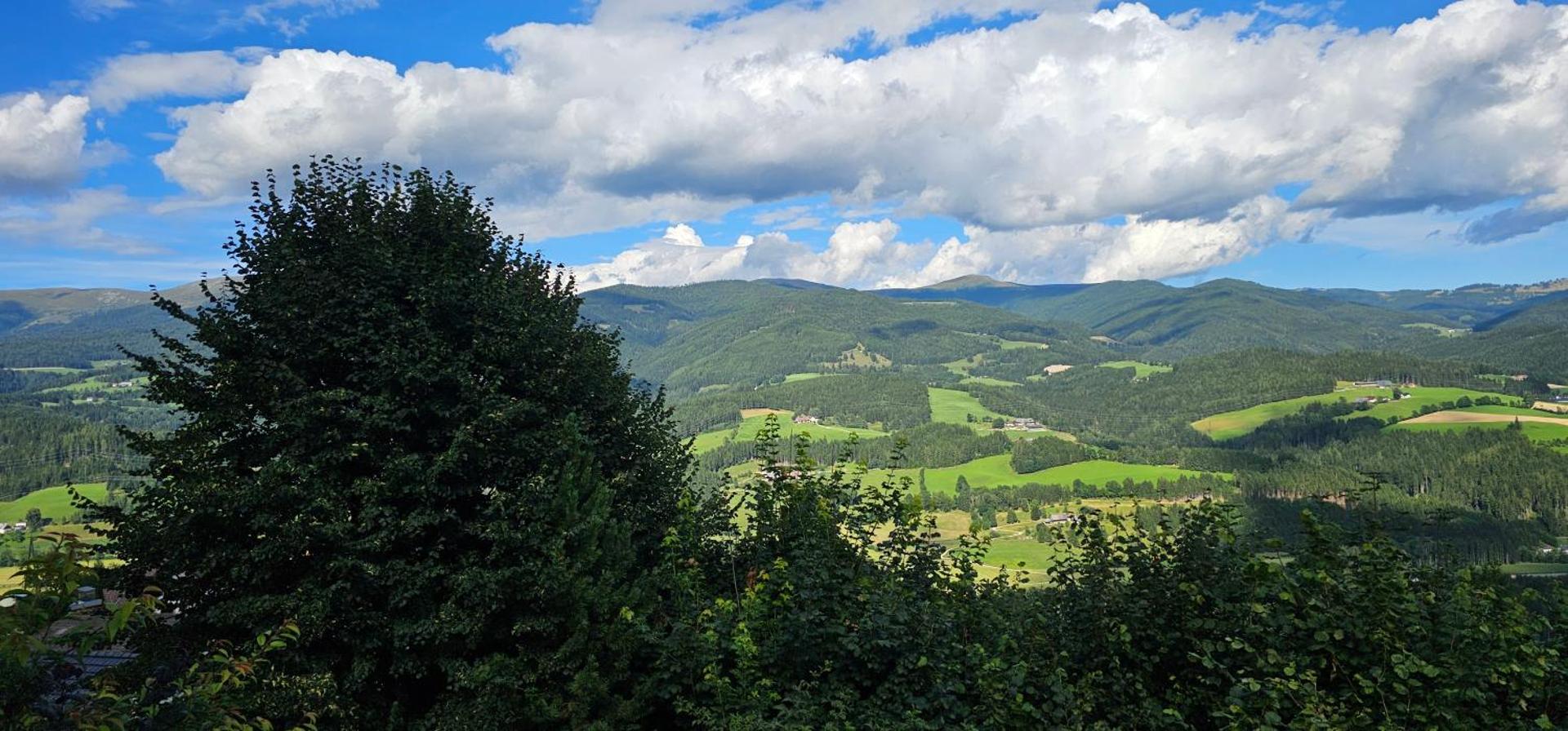 View (from property/room)