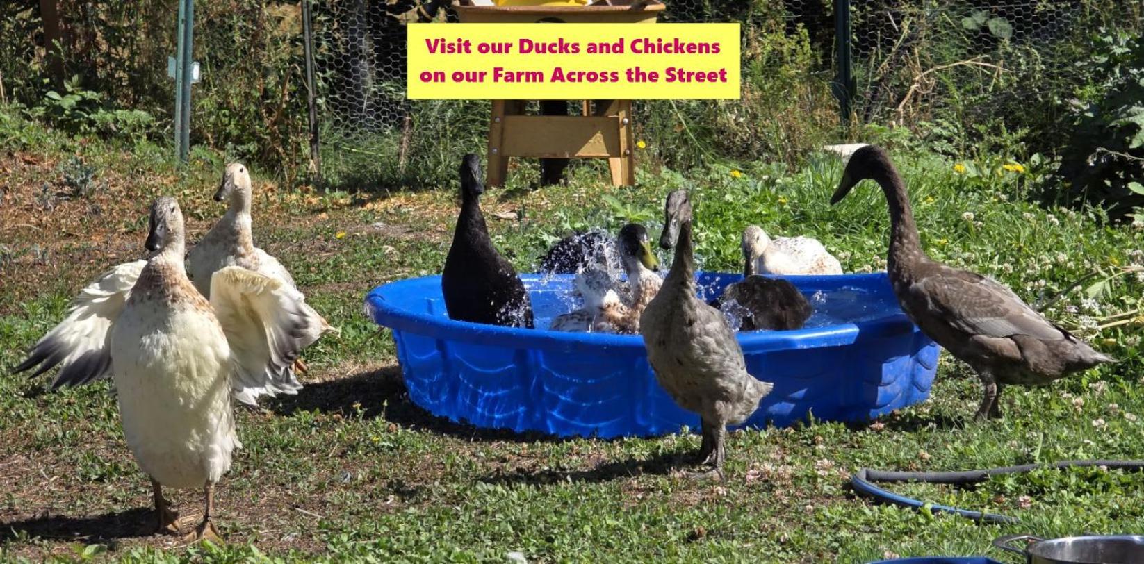 Sunny Island Cliff Side Views