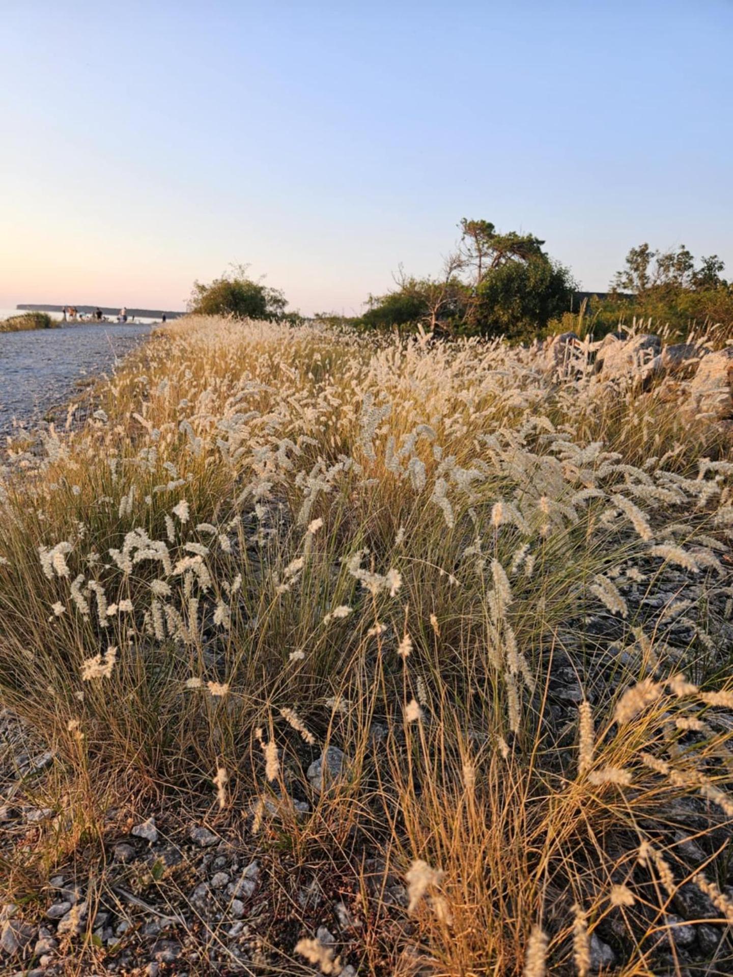 Trevlig fritidshus på Norra Öland