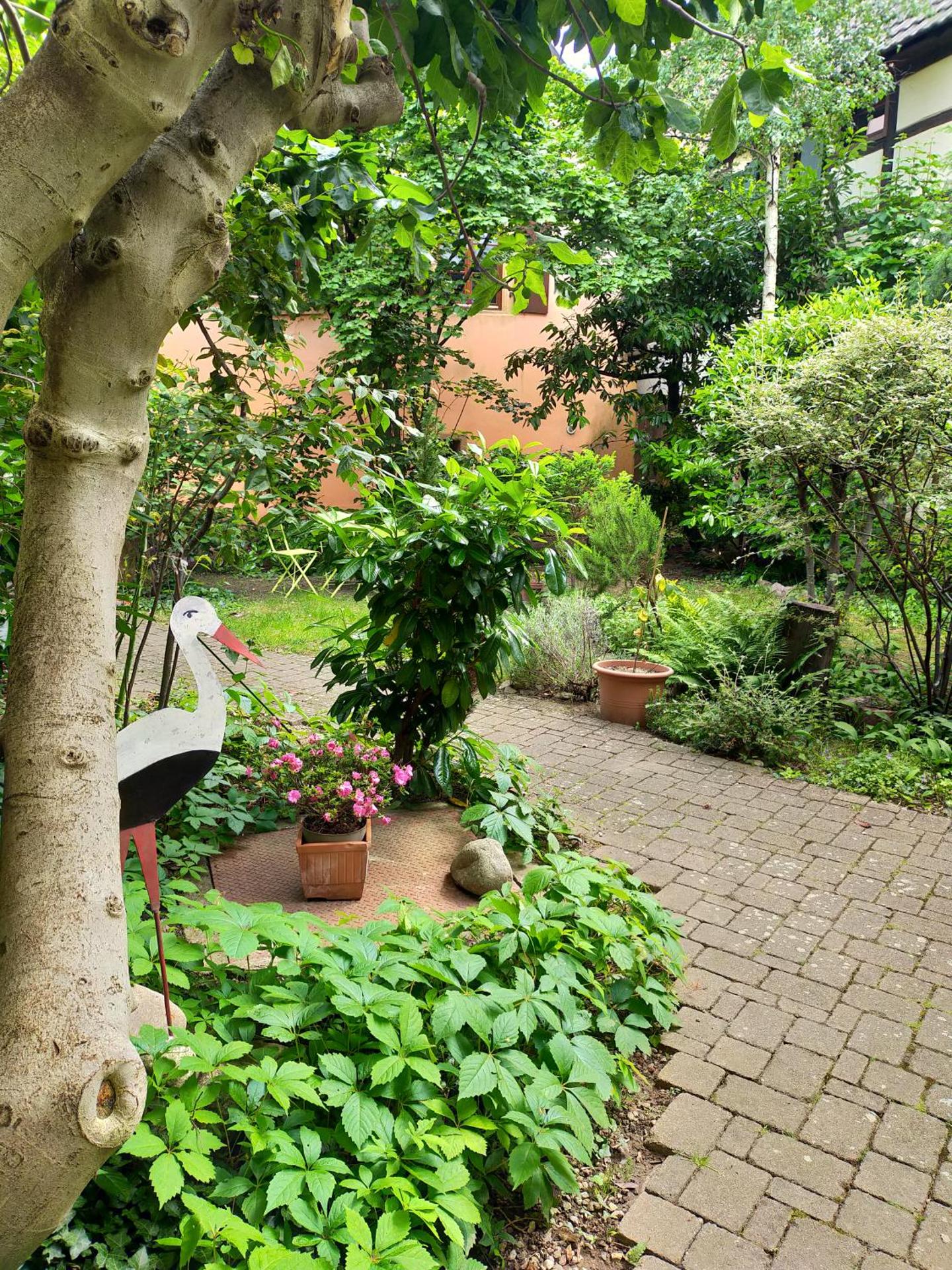 Garden view