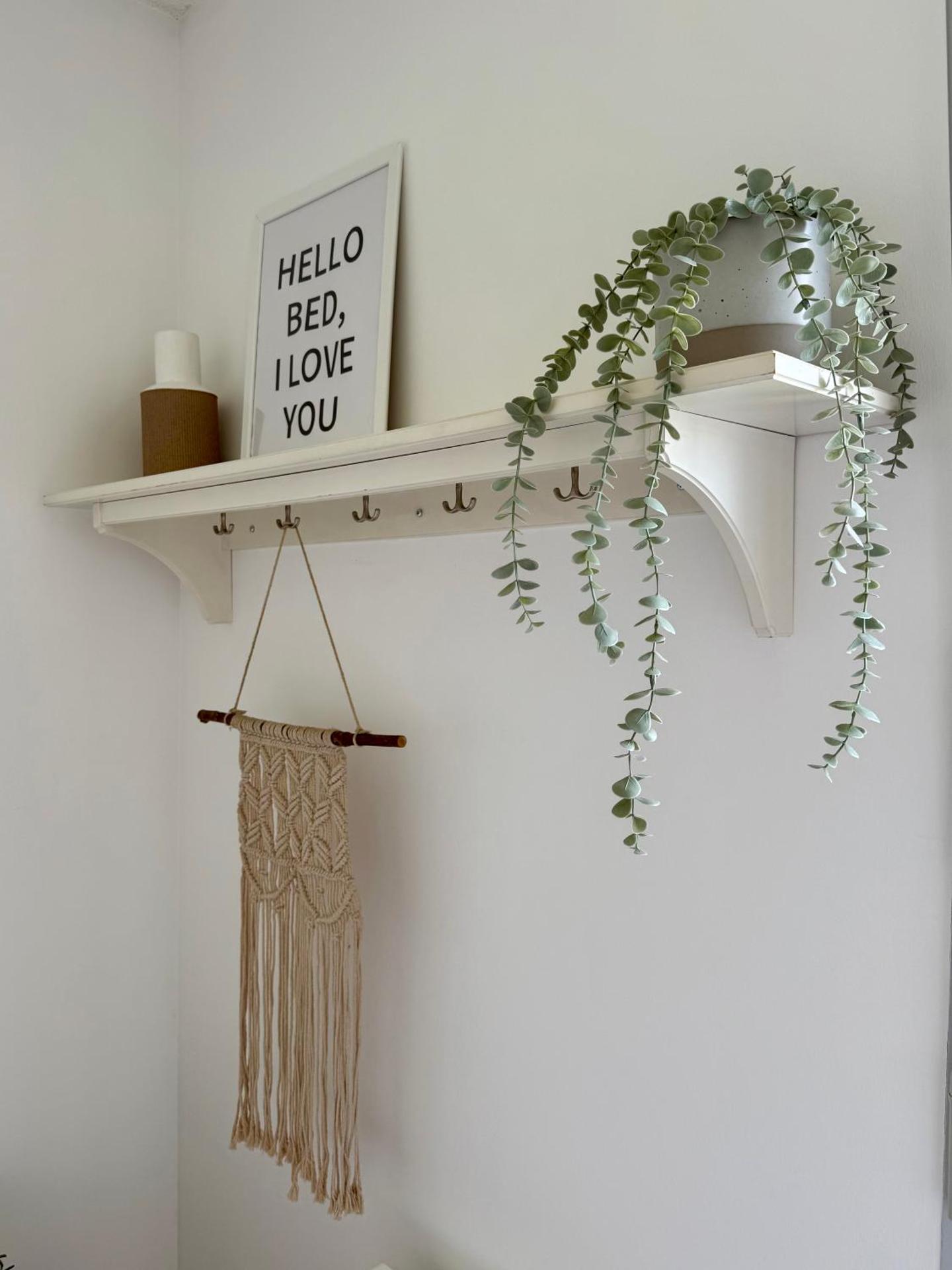 Appartement cosy - rénové et lumineux -